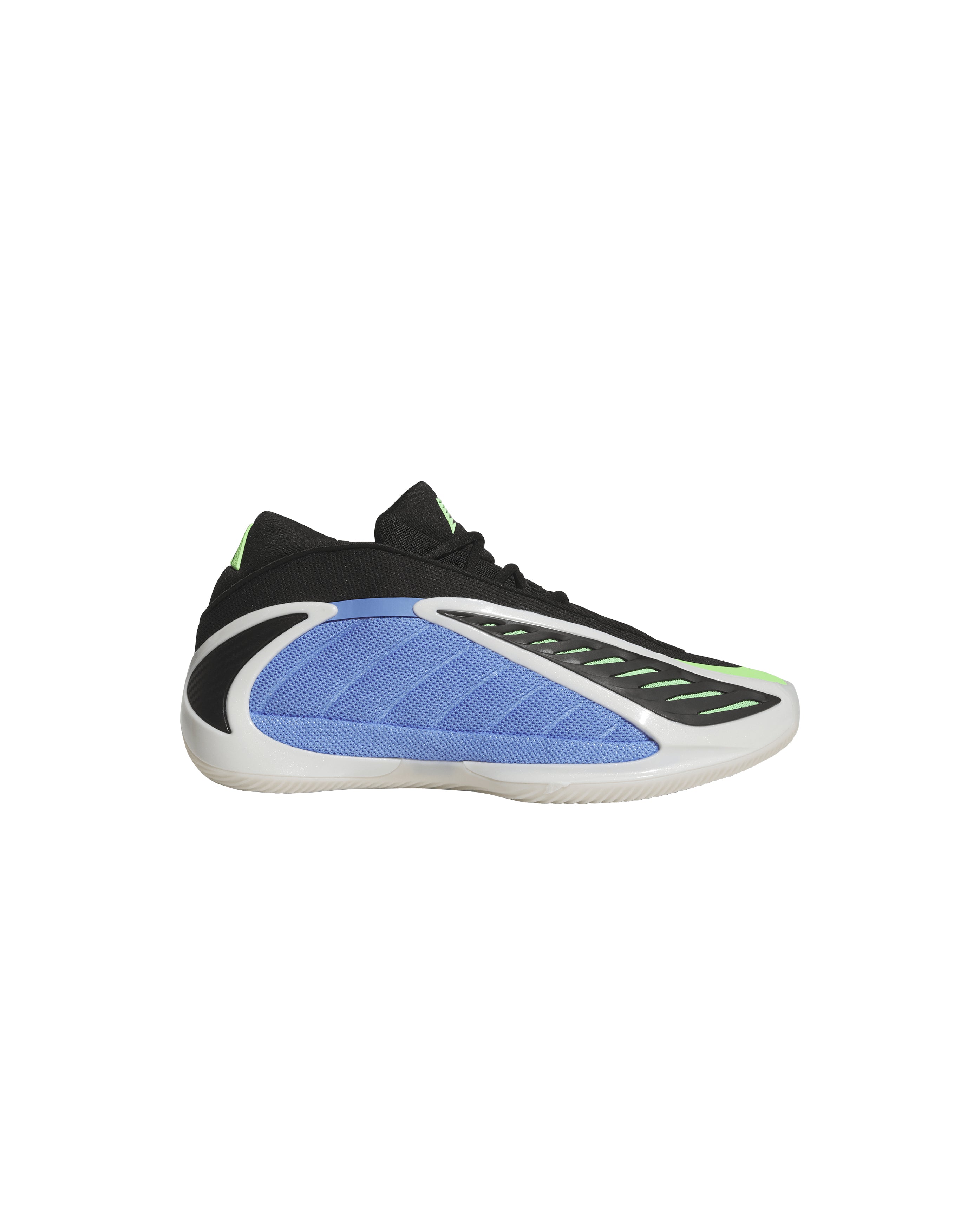 Anthony Edwards 2 Blue