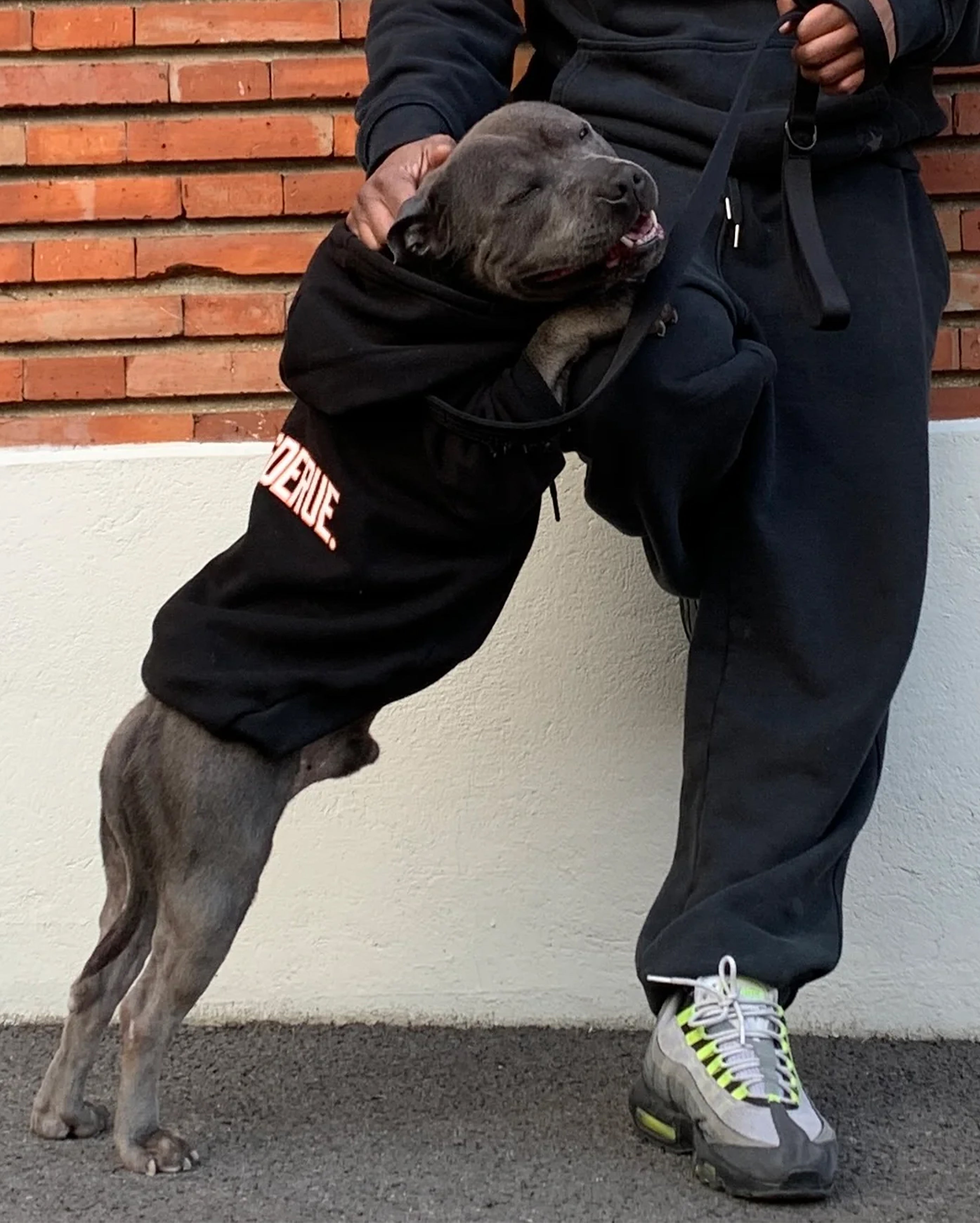 Hoodie Alumni - Starcowparis - 3