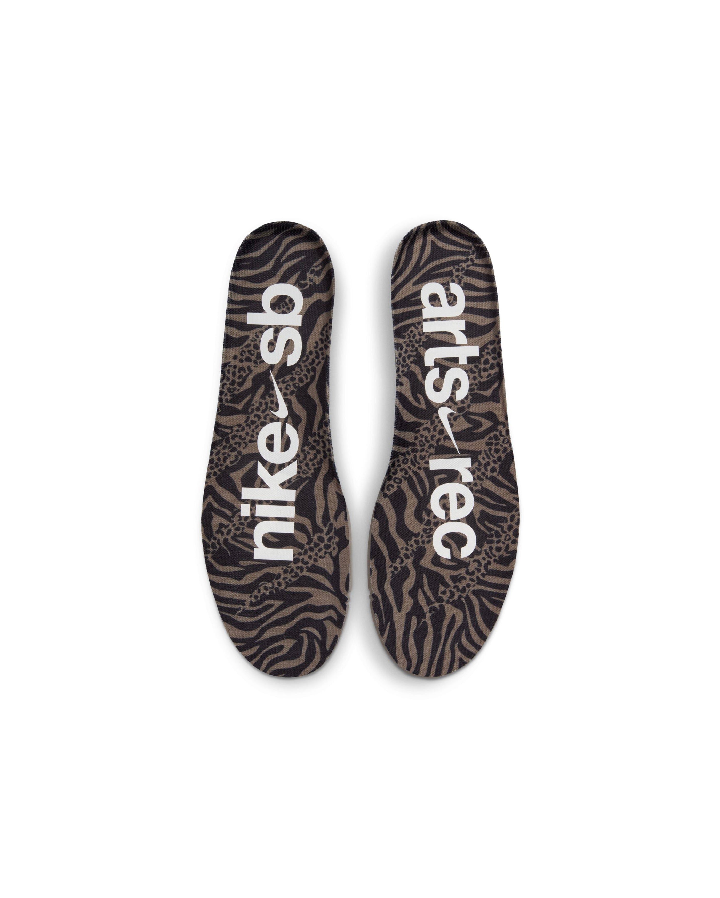 Nike-SB Dunk Low X Arts-Rec