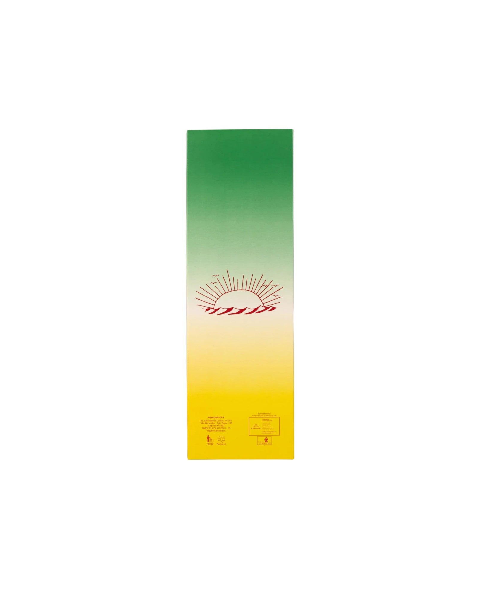 Patta x Havaianas tongs noire