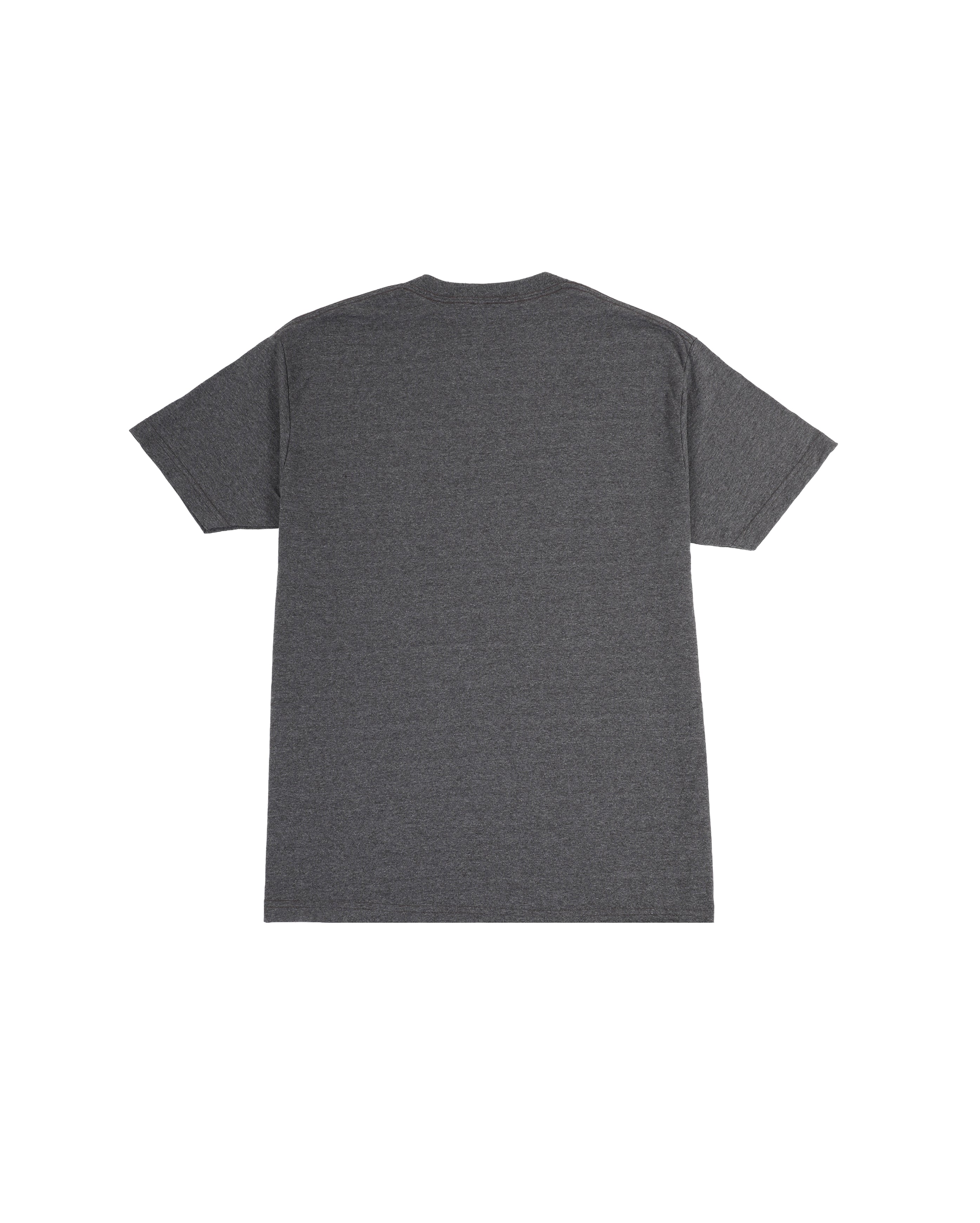 Arc Script Logo Tee Gris