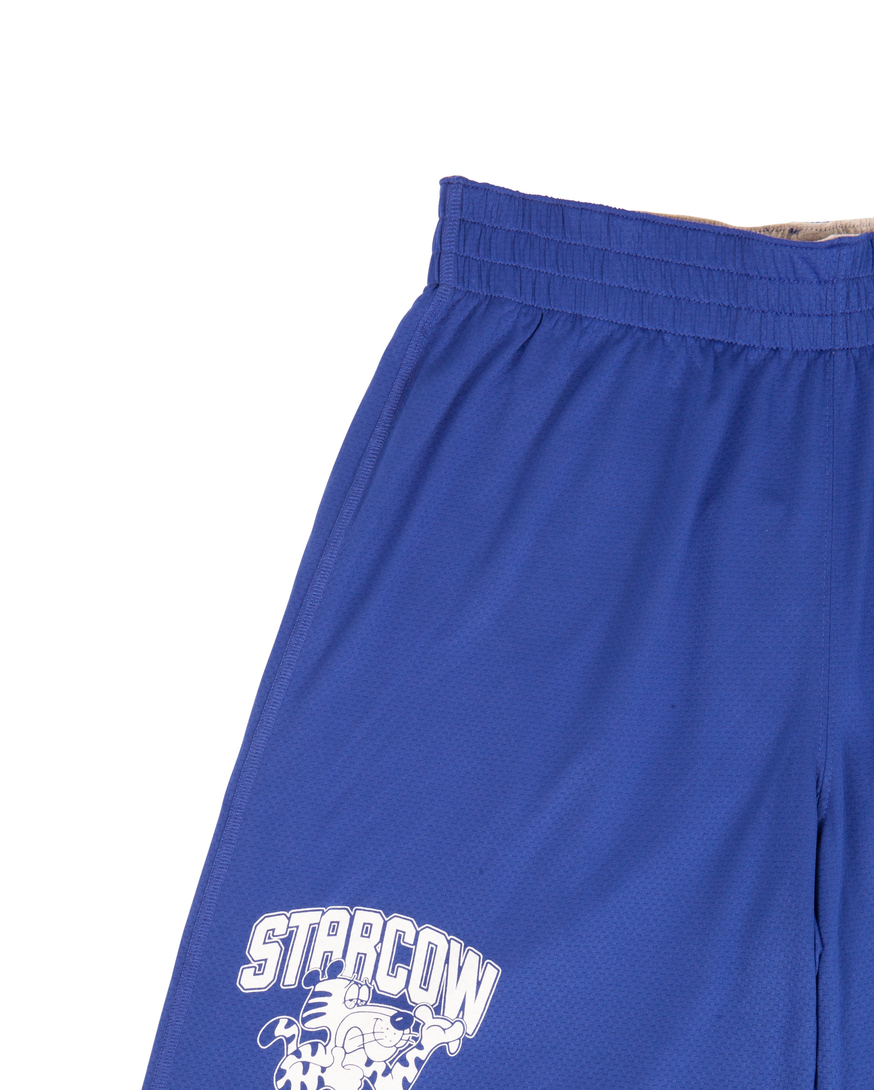 Reversible Short Blue