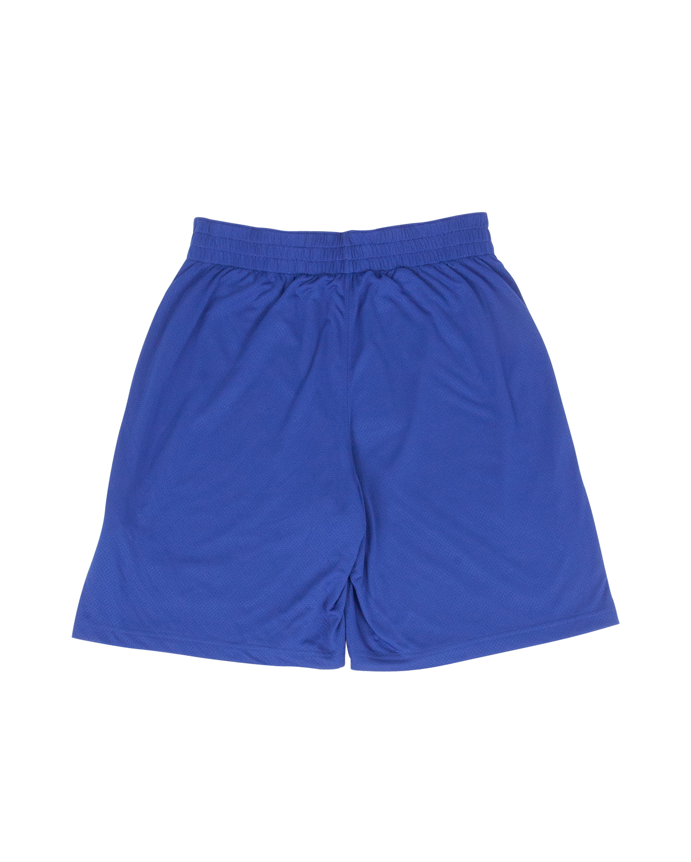 Reversible Short Blue