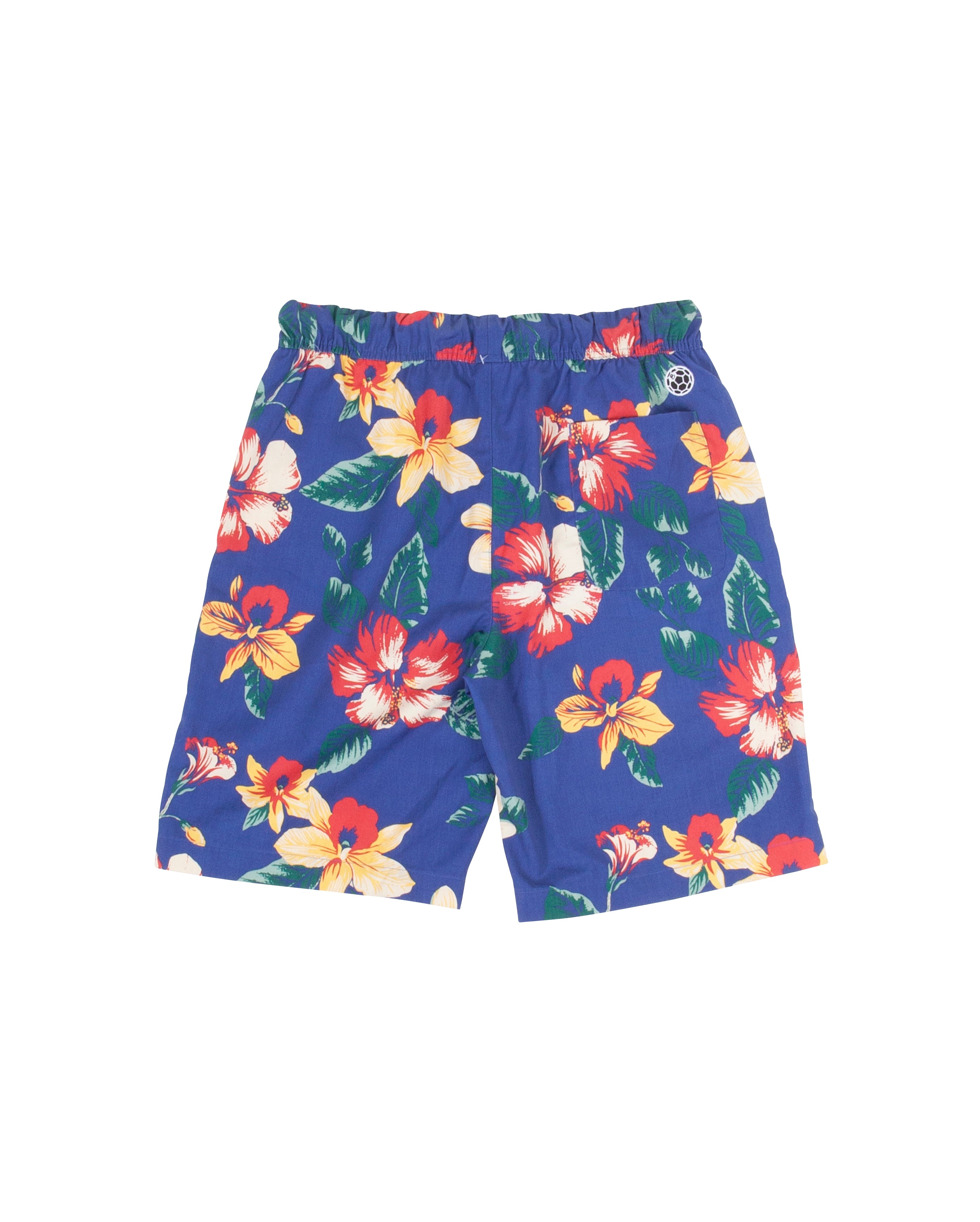 Shorts Bleu