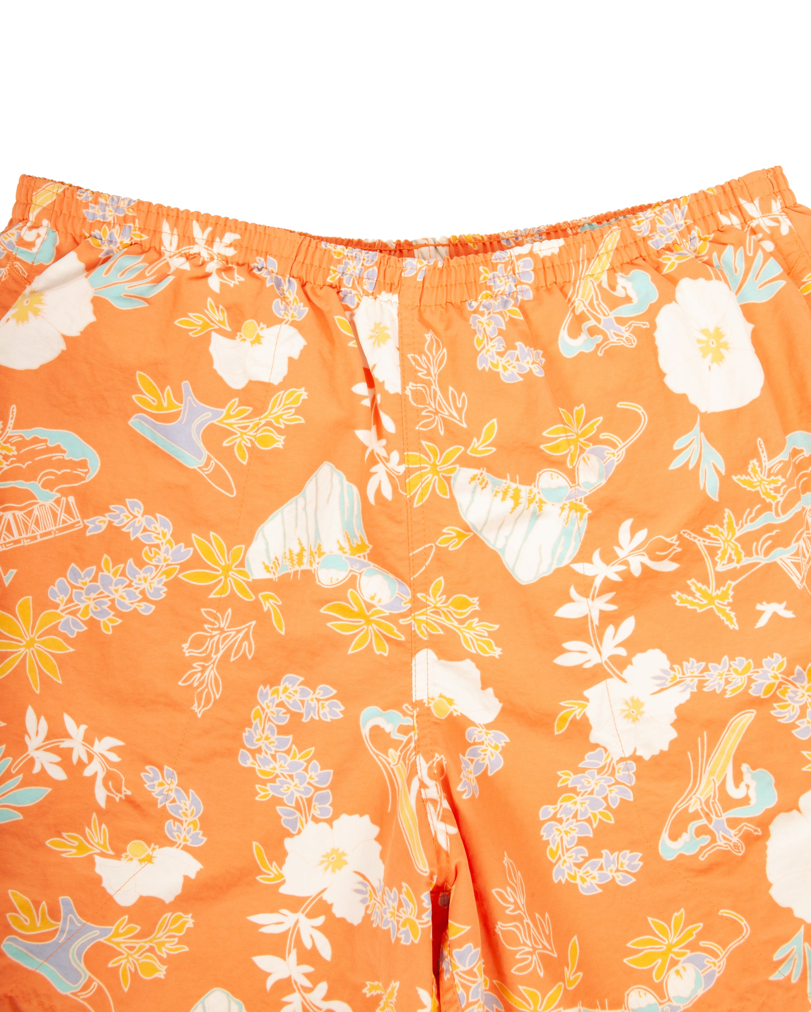 Baggies Lights Short Graphic Tigerly Orange OUTLET - Starcowparis