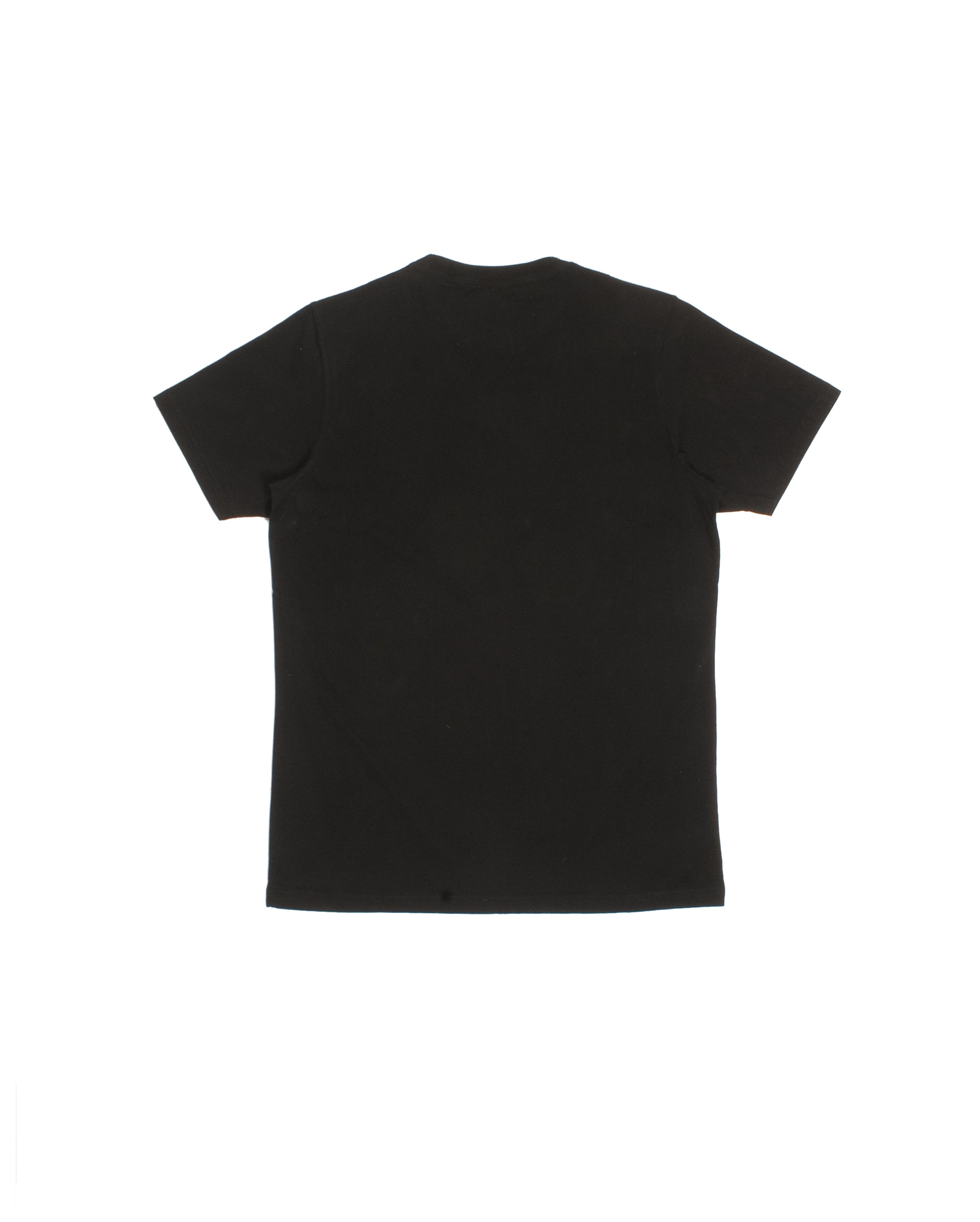 Hokusai U A P Tee Black OUTLET