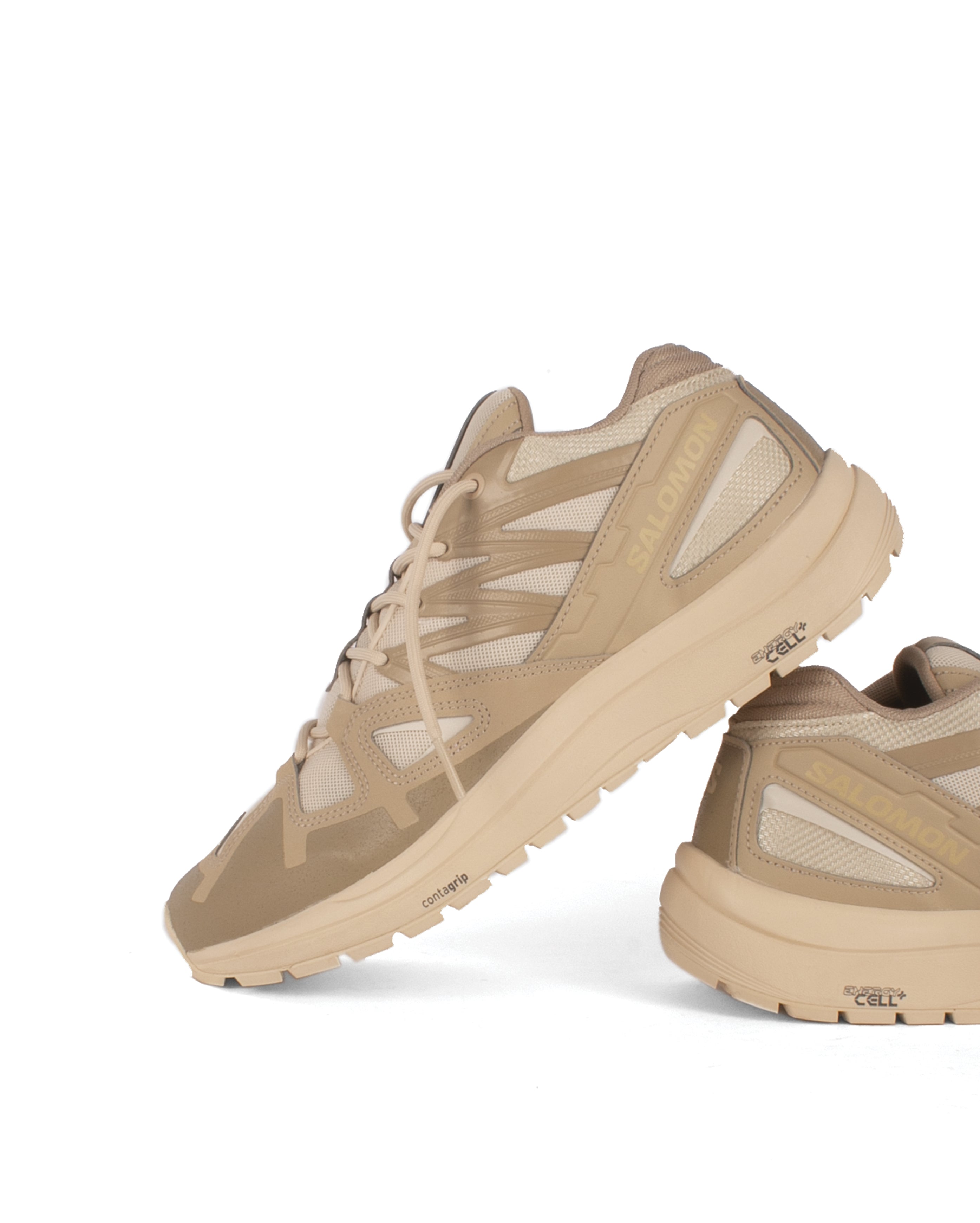 Odyssey 1 Safari