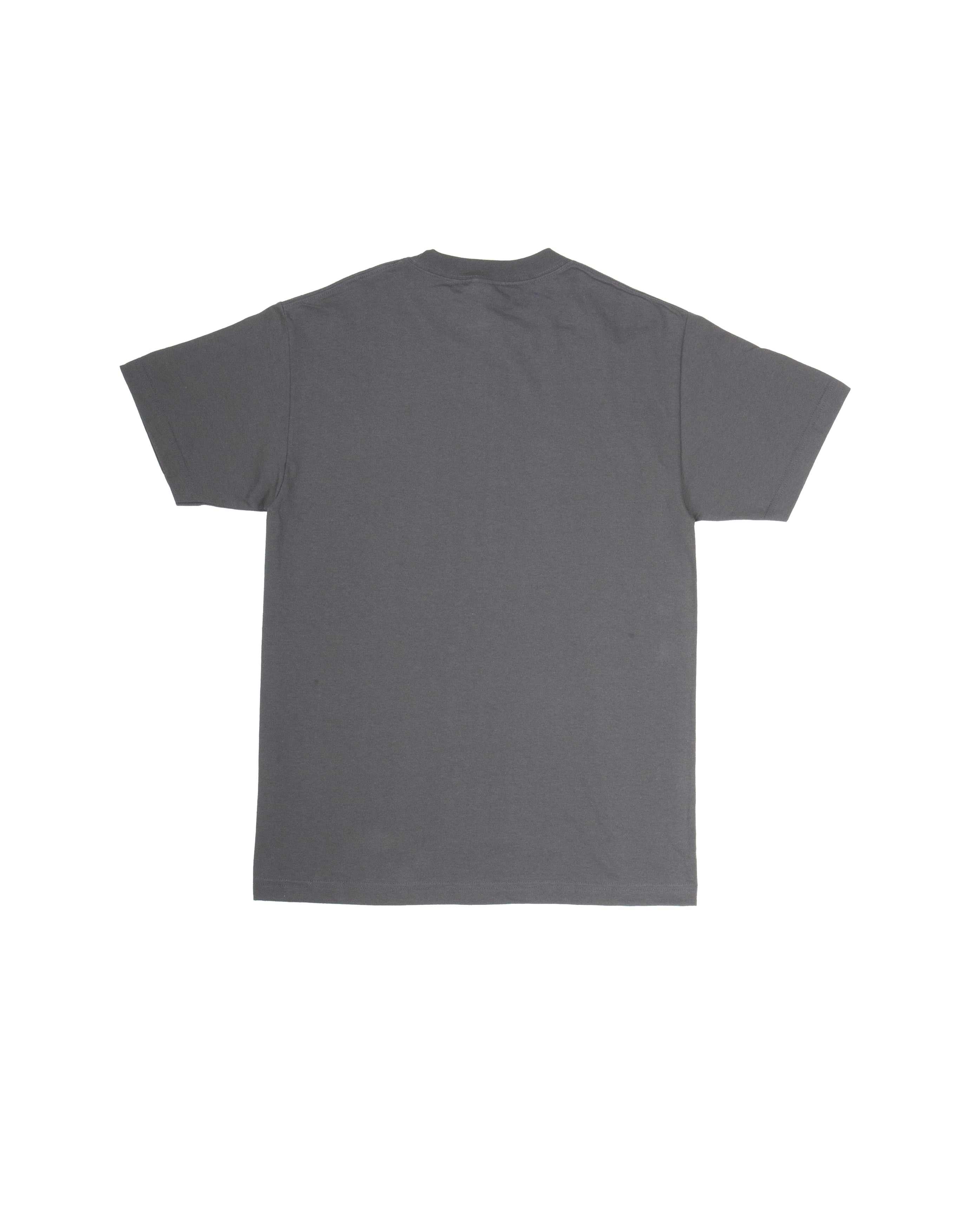 Tee Shirt College Grey