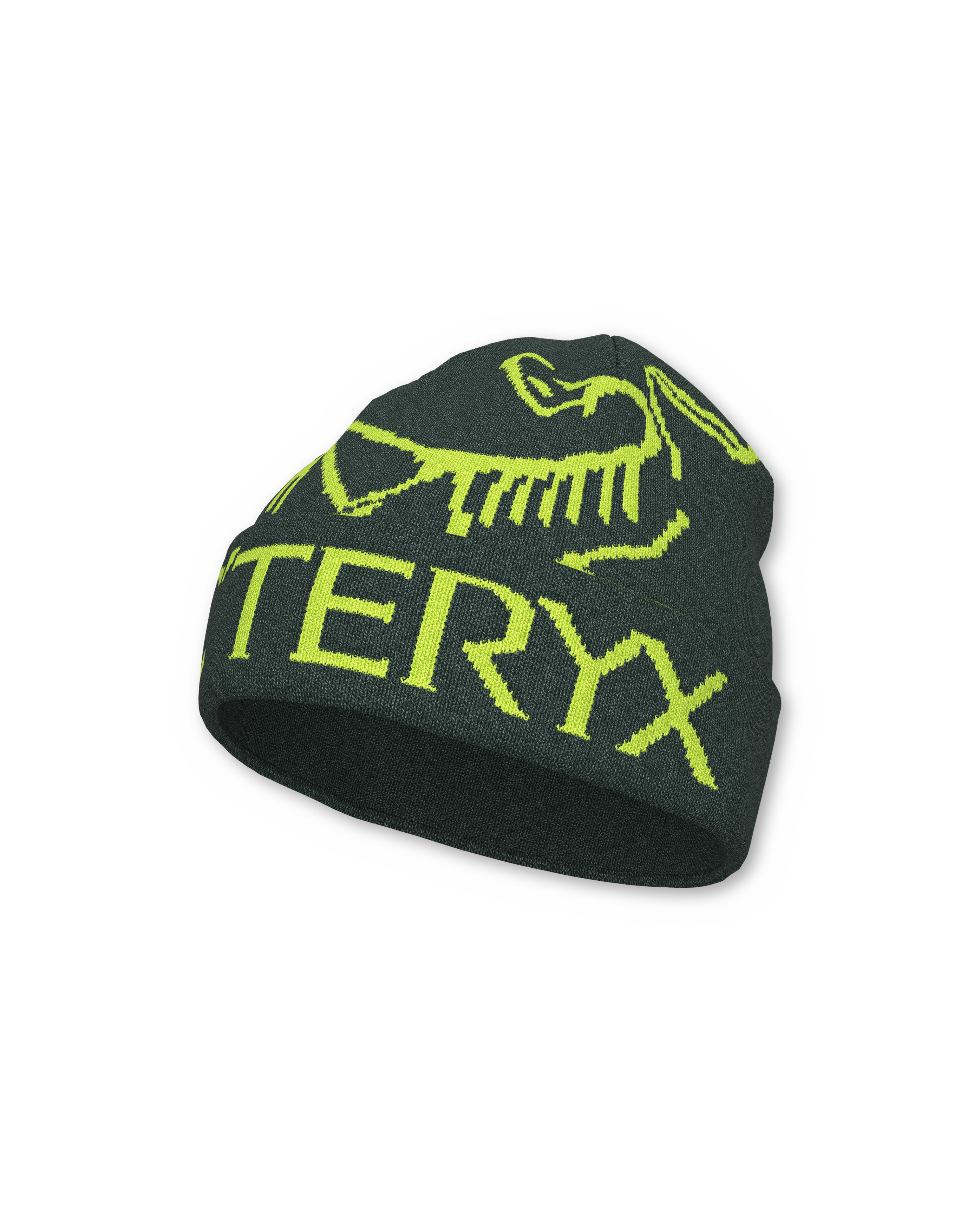 Arc'teryx Bird Word Toque Dark Jade Mantis, trois-quarts, Starcow Paris - Starcowparis - 2