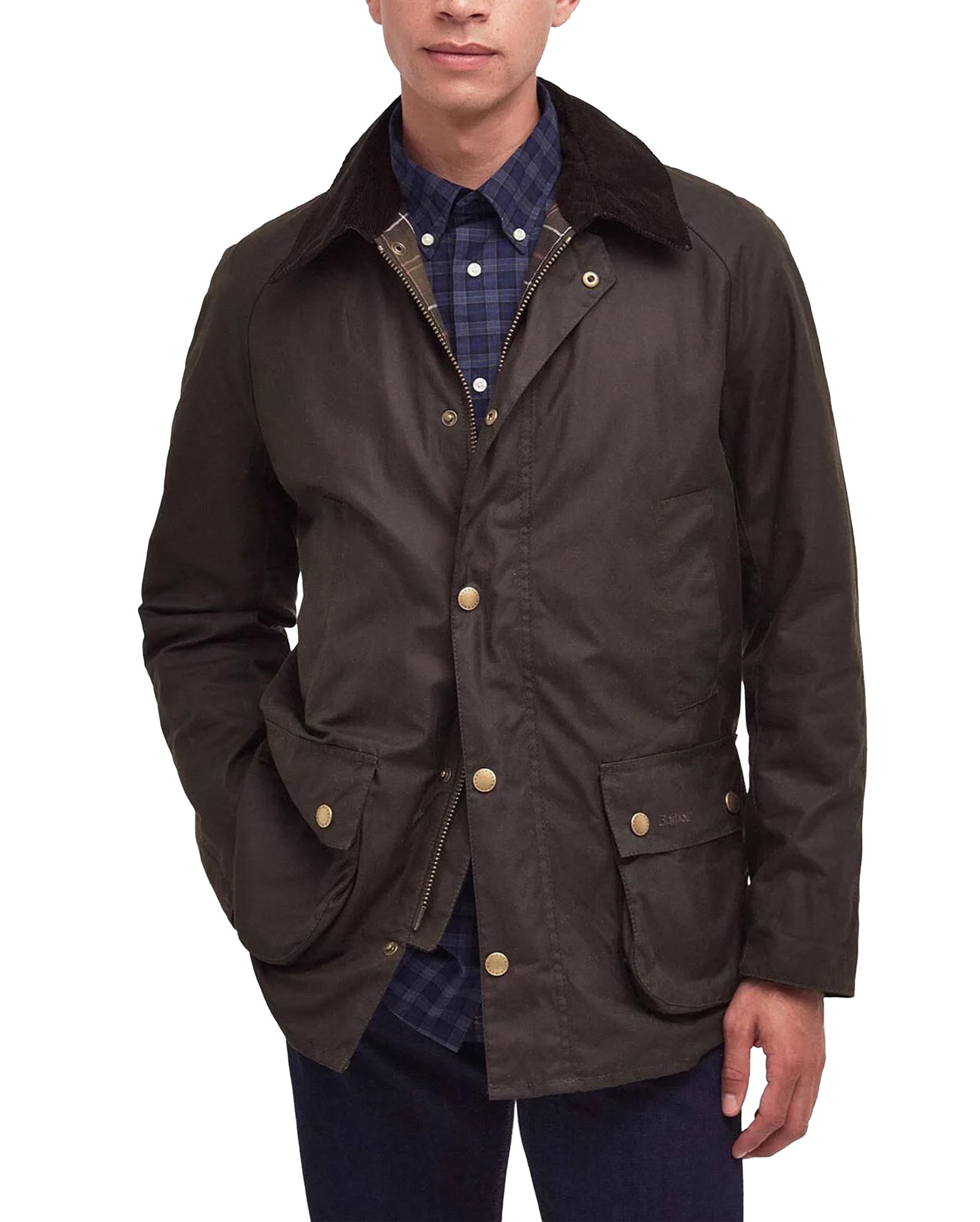 Ashby Wax Jacket Olive - Starcowparis - 2