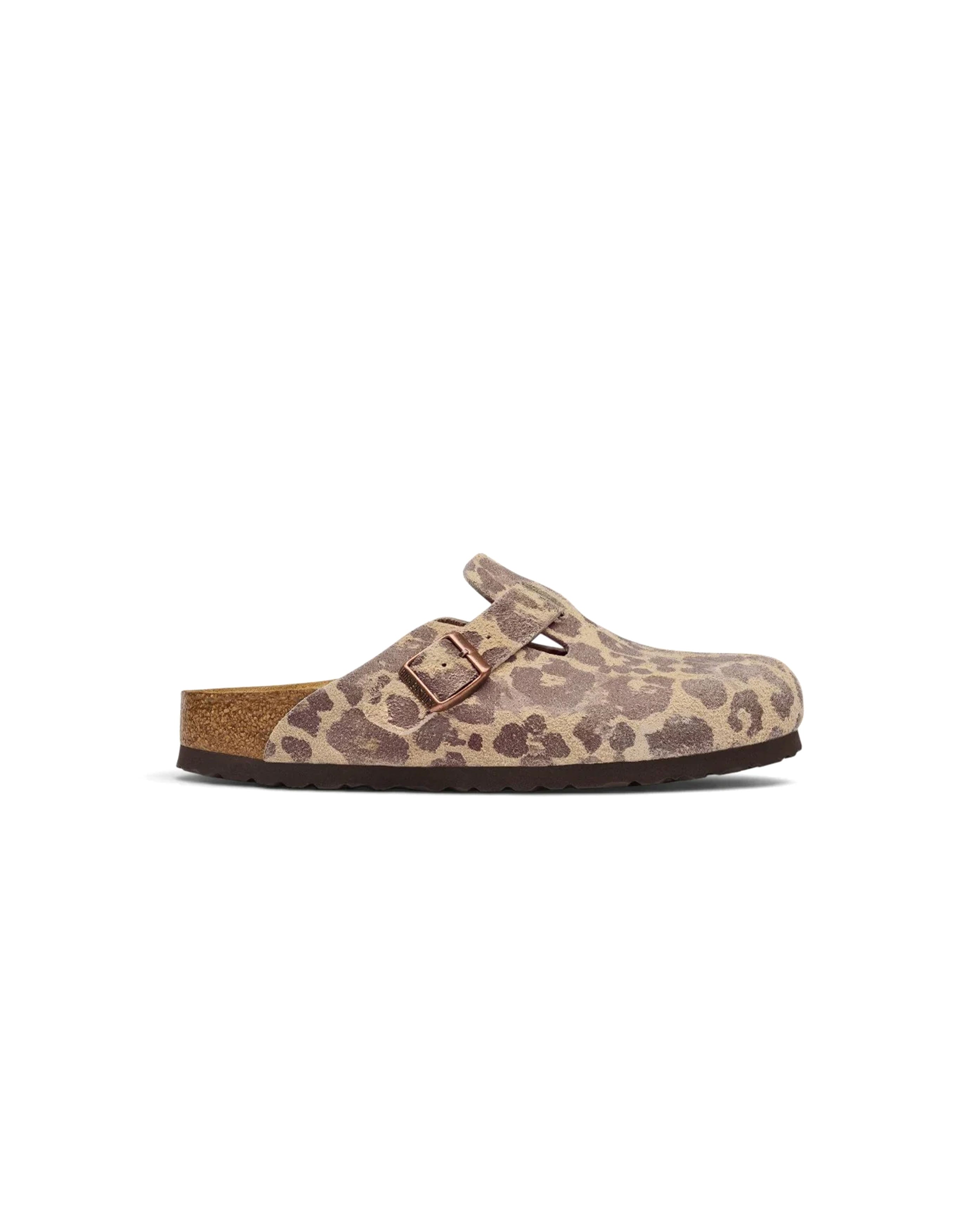 Boston BS Leo Sandcastle - Starcowparis - 1