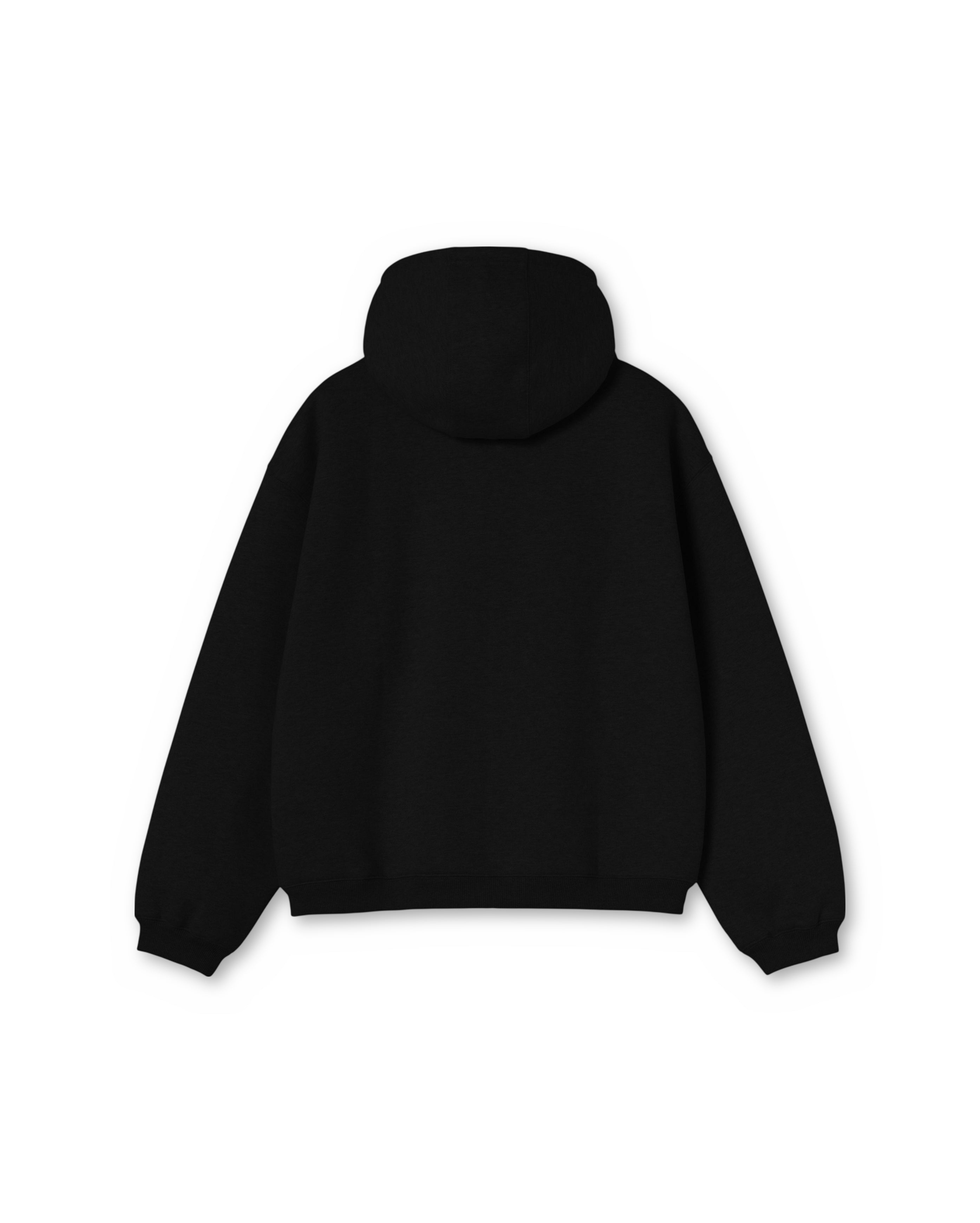 Carhartt Hooded Ebbert Jacket Black White, dos, Starcow Paris - Starcowparis - 2