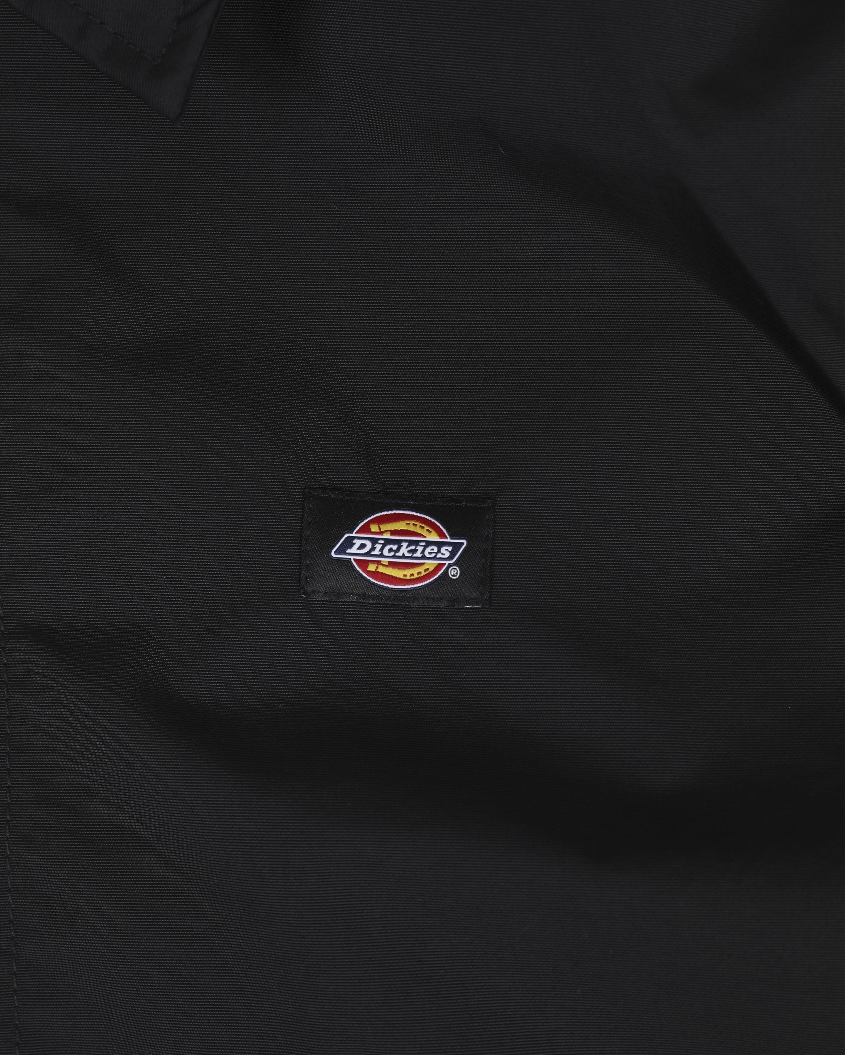 X Starcow Coach Black / Purple - Starcowparis - 5