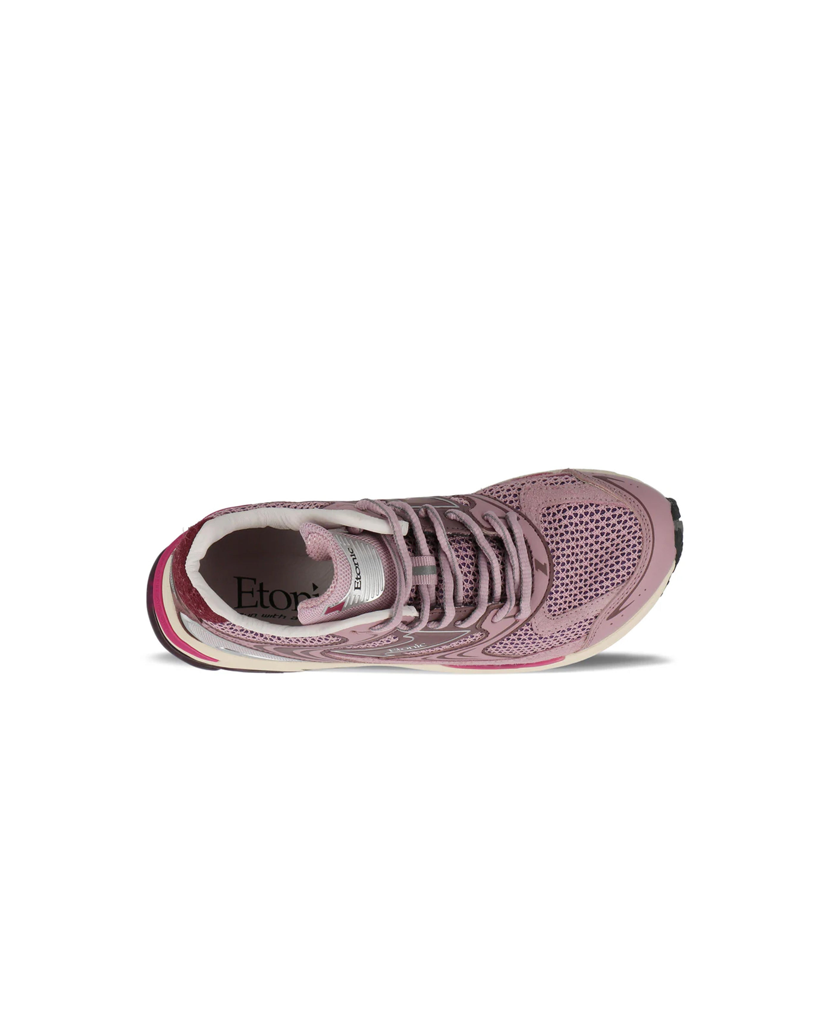 Evolution Venus Mauve Femme - Starcowparis - 4