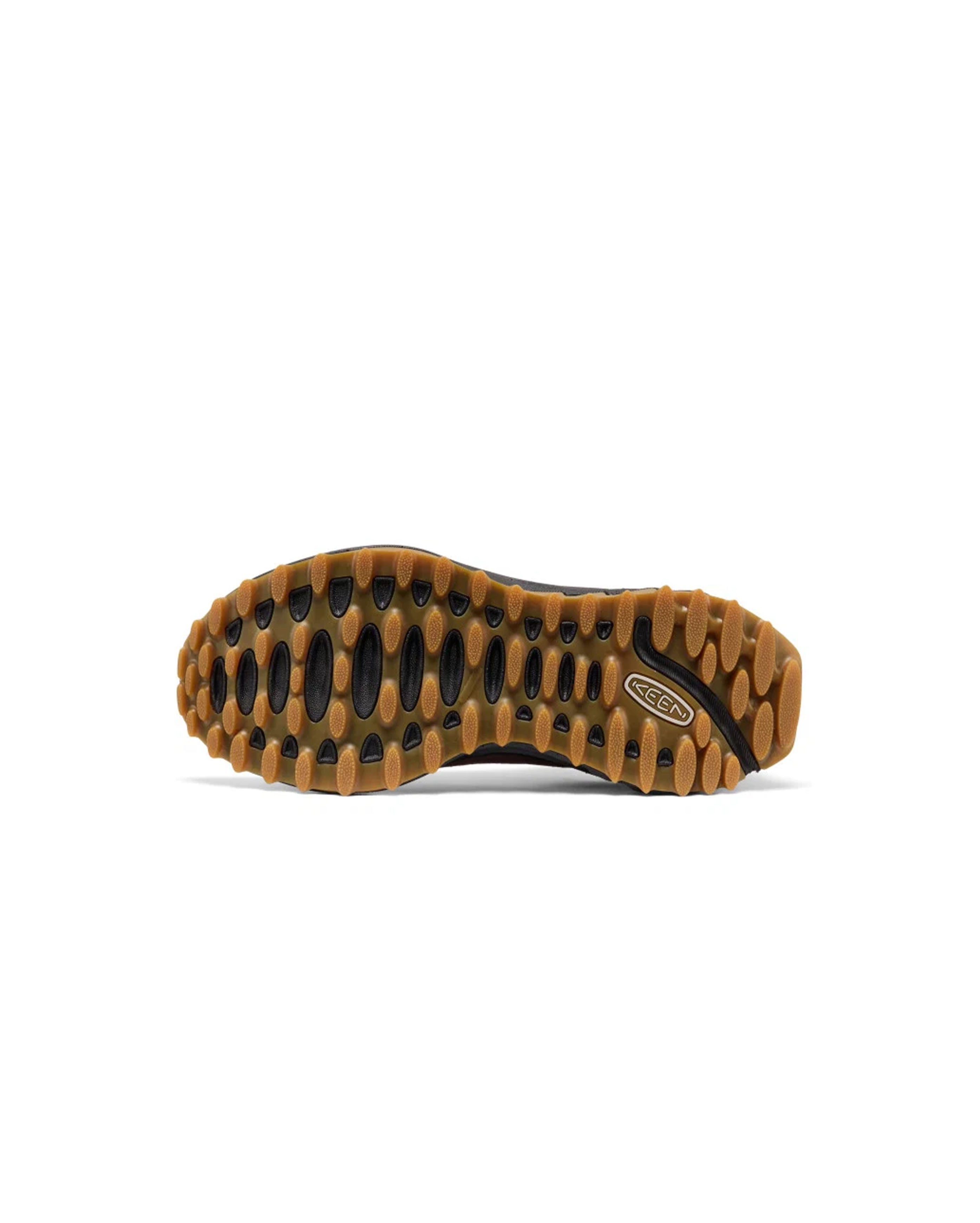 Jasper Zionic Huckleberry - Starcowparis - 3