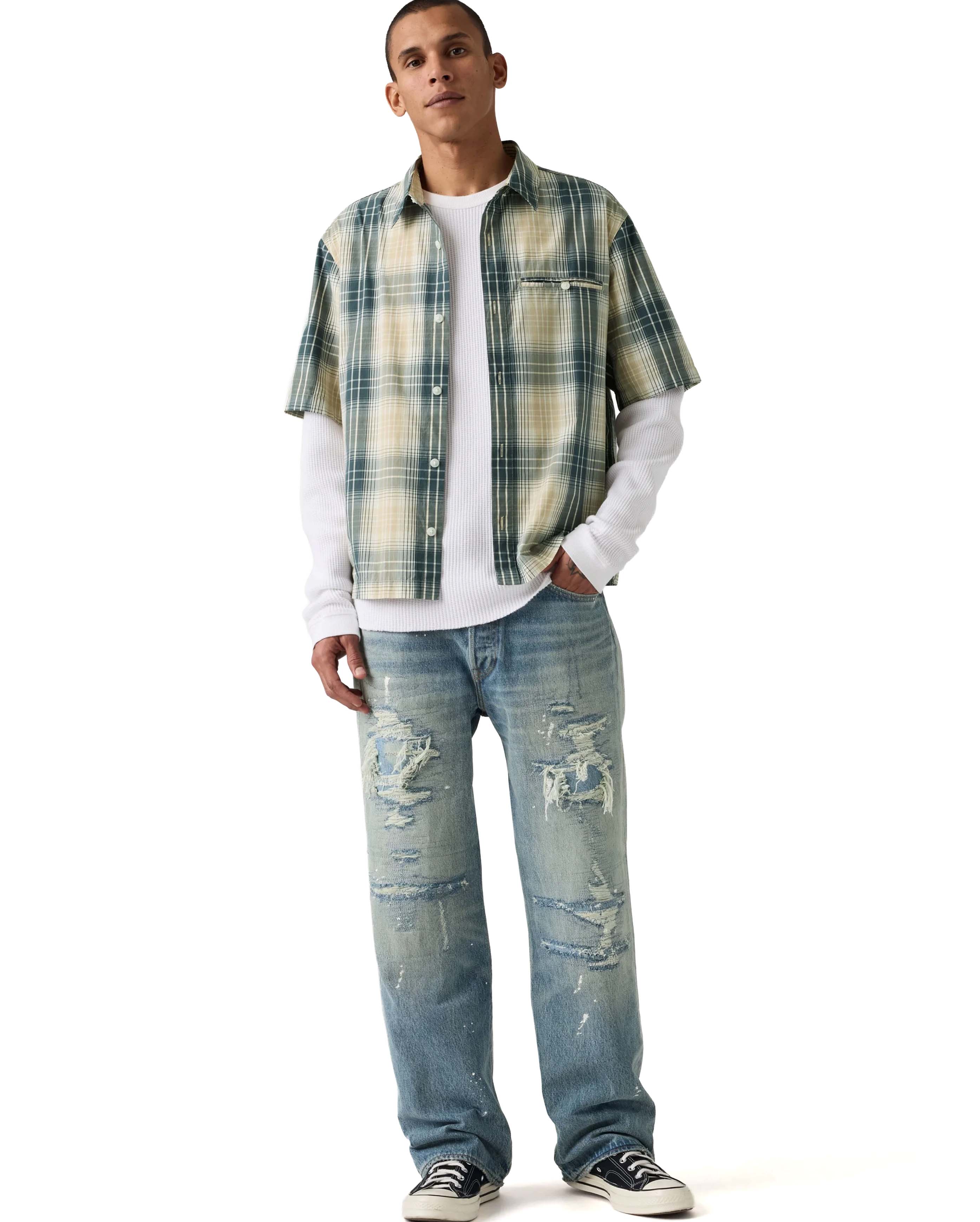 501 Loose Larkspur Painter DX - Starcowparis - 2