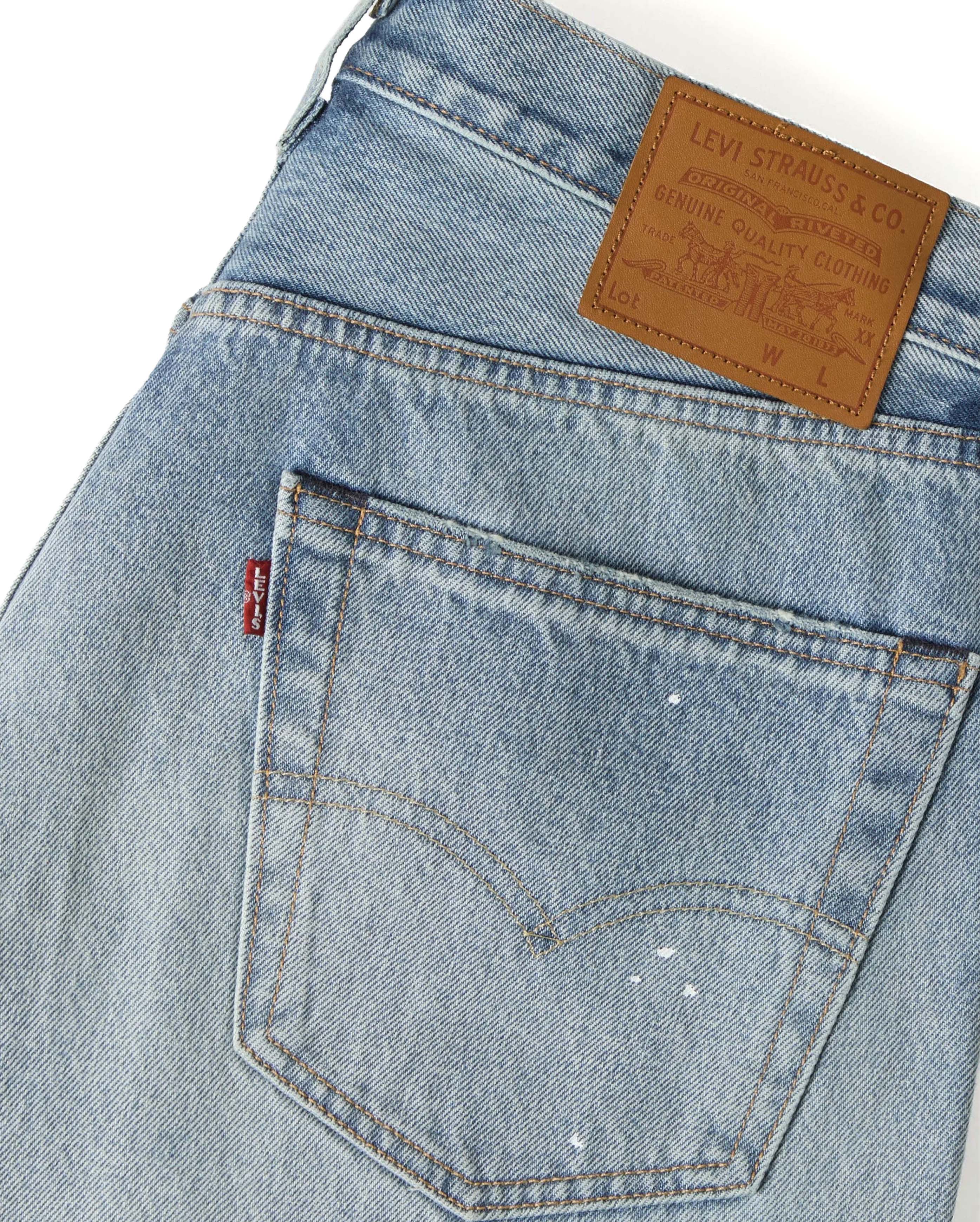 501 Loose Larkspur Painter DX - Starcowparis - 3