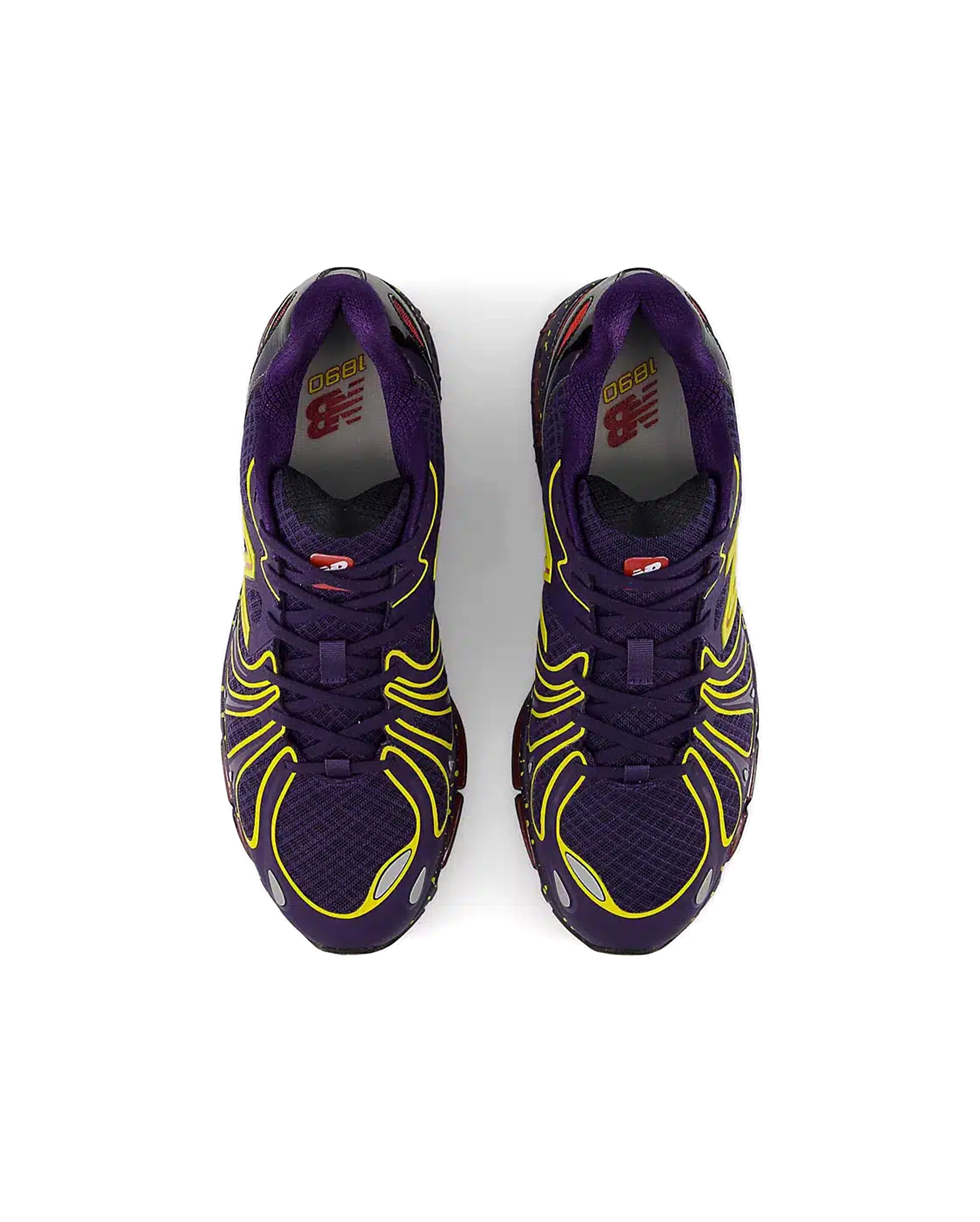 1890 Boysenberry - Starcowparis - 4