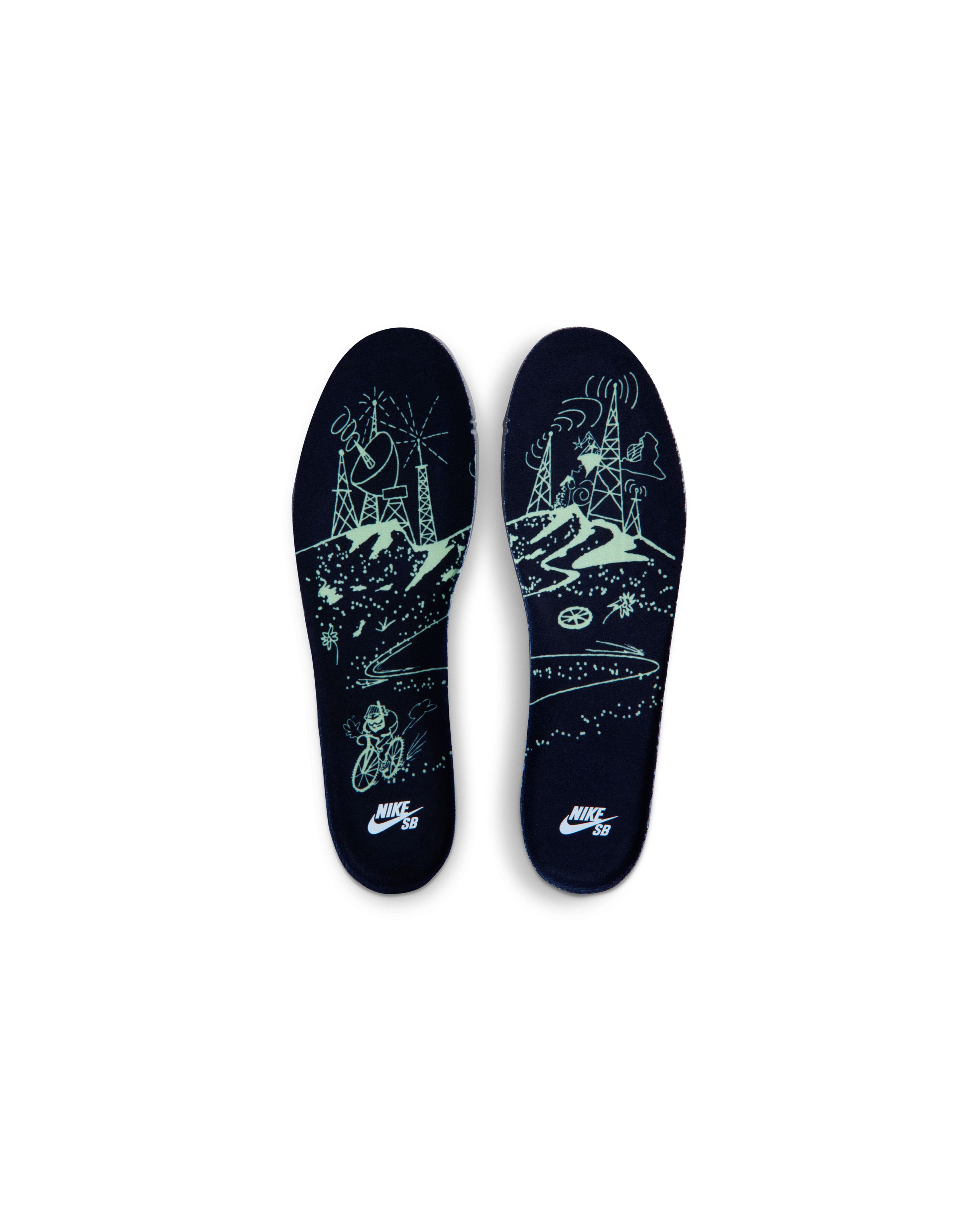 SB Dunk Low Pro Prm Verdugo Mountain - Starcowparis - 9