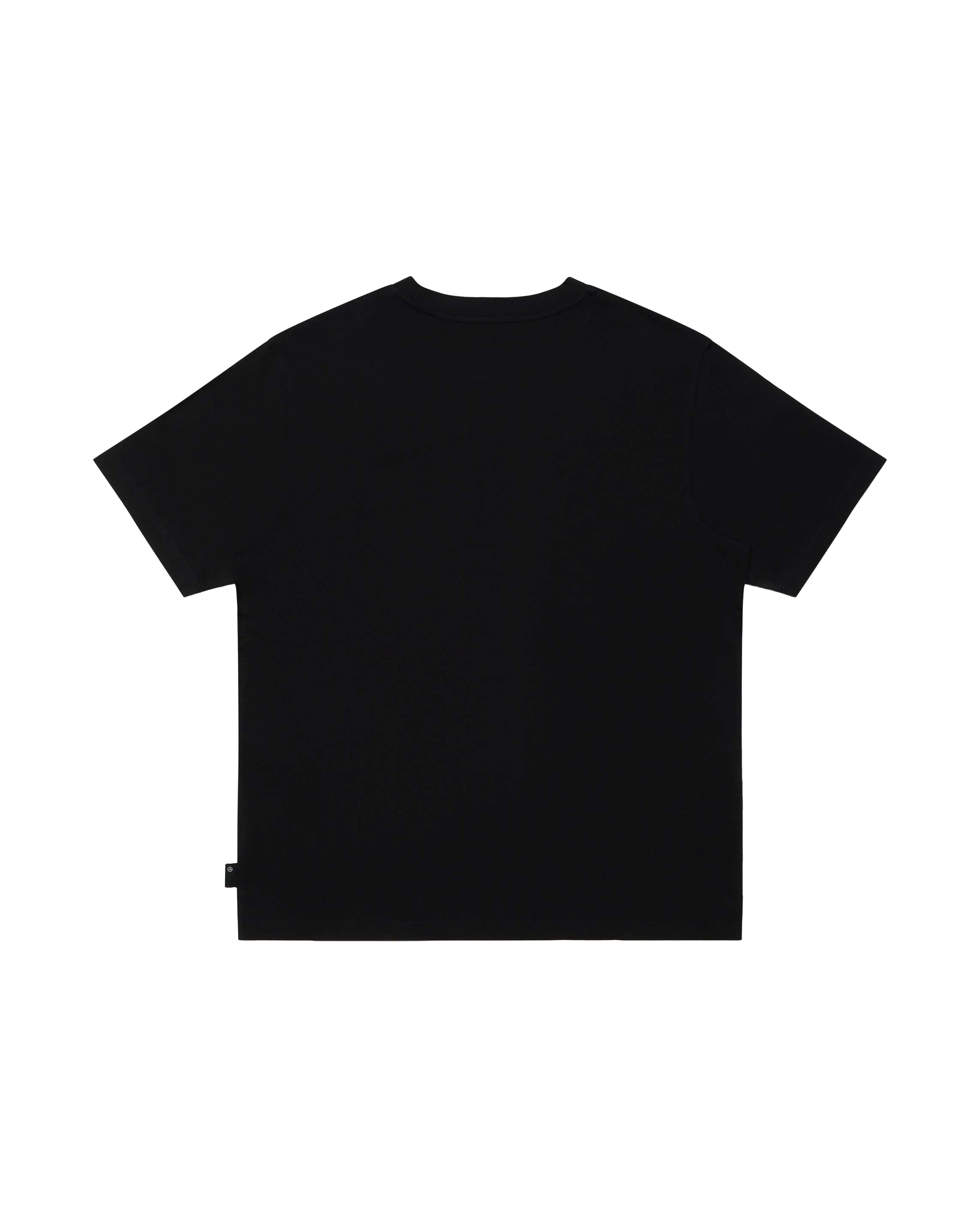 Pointer Script TS Black - Starcowparis - 3