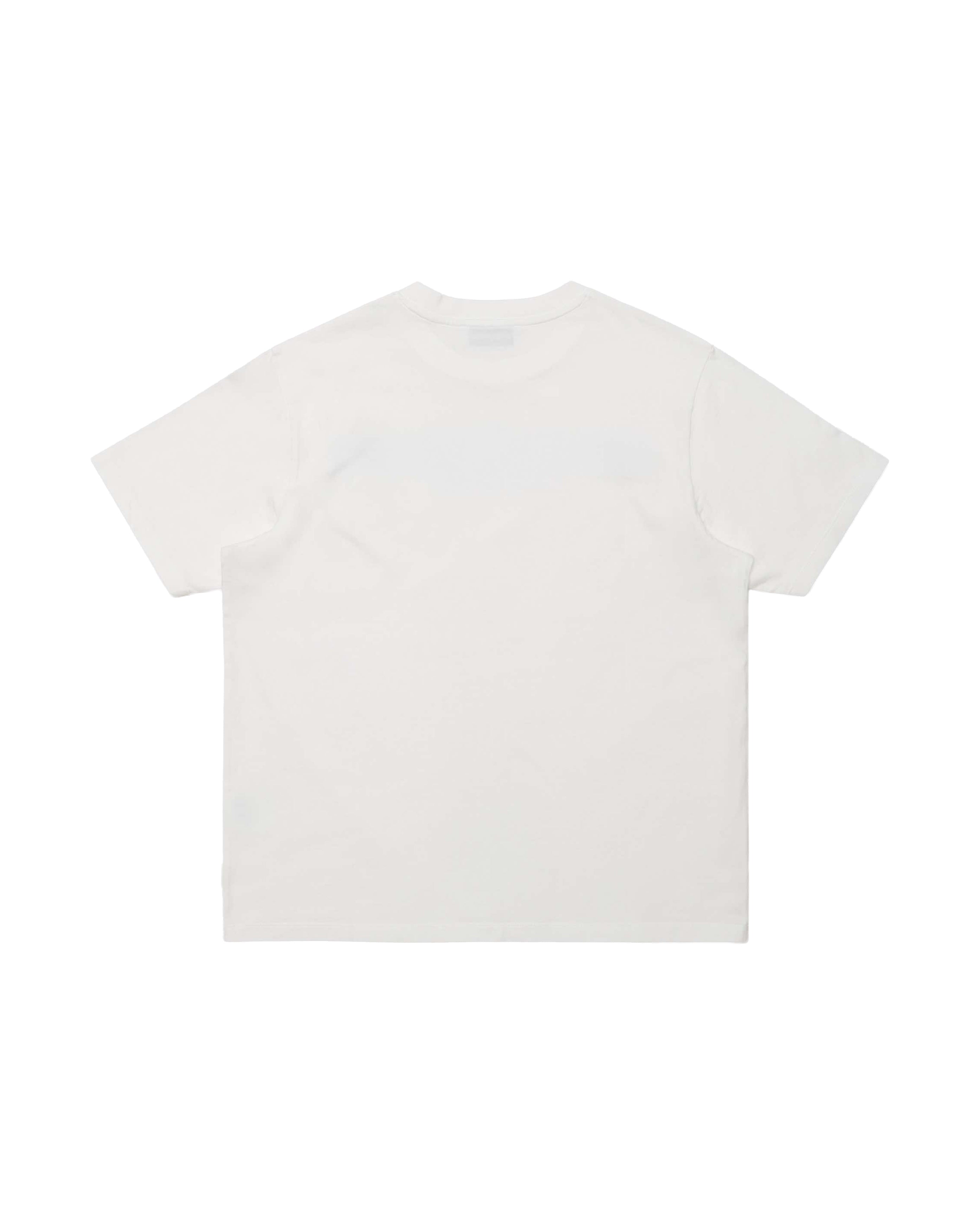 Pointer Script TS White - Starcowparis - 3