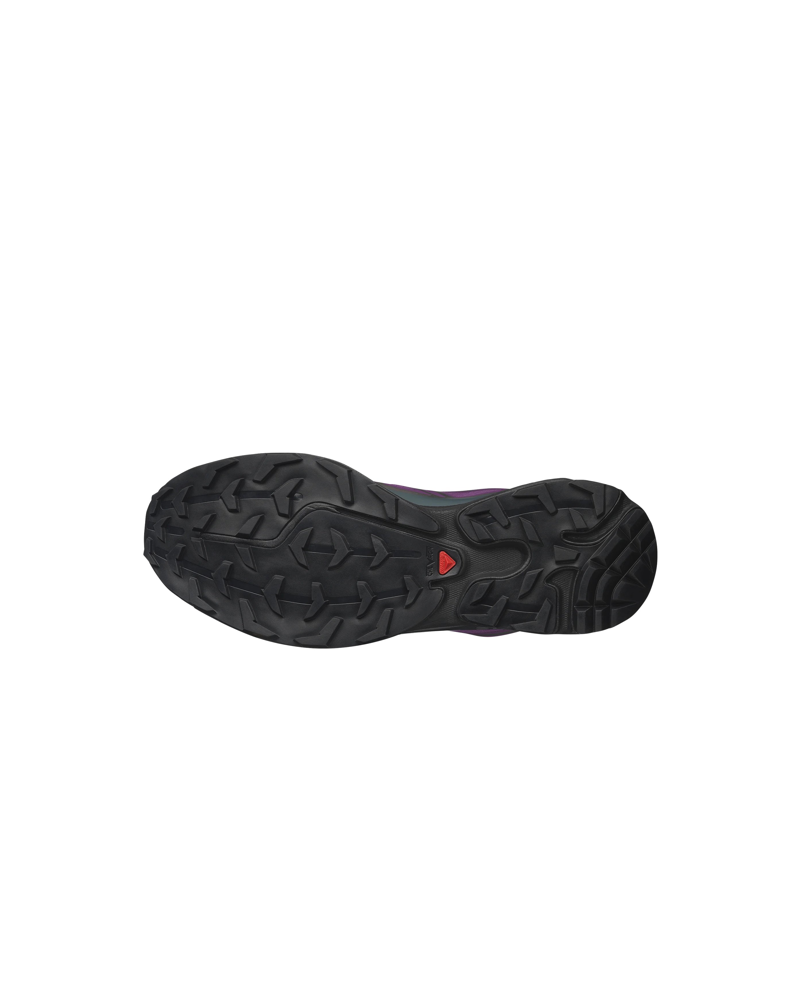 XT-6 GORE-TEX Concord Grape/Stormy Weather/Footwear Silver - Starcowparis - 5