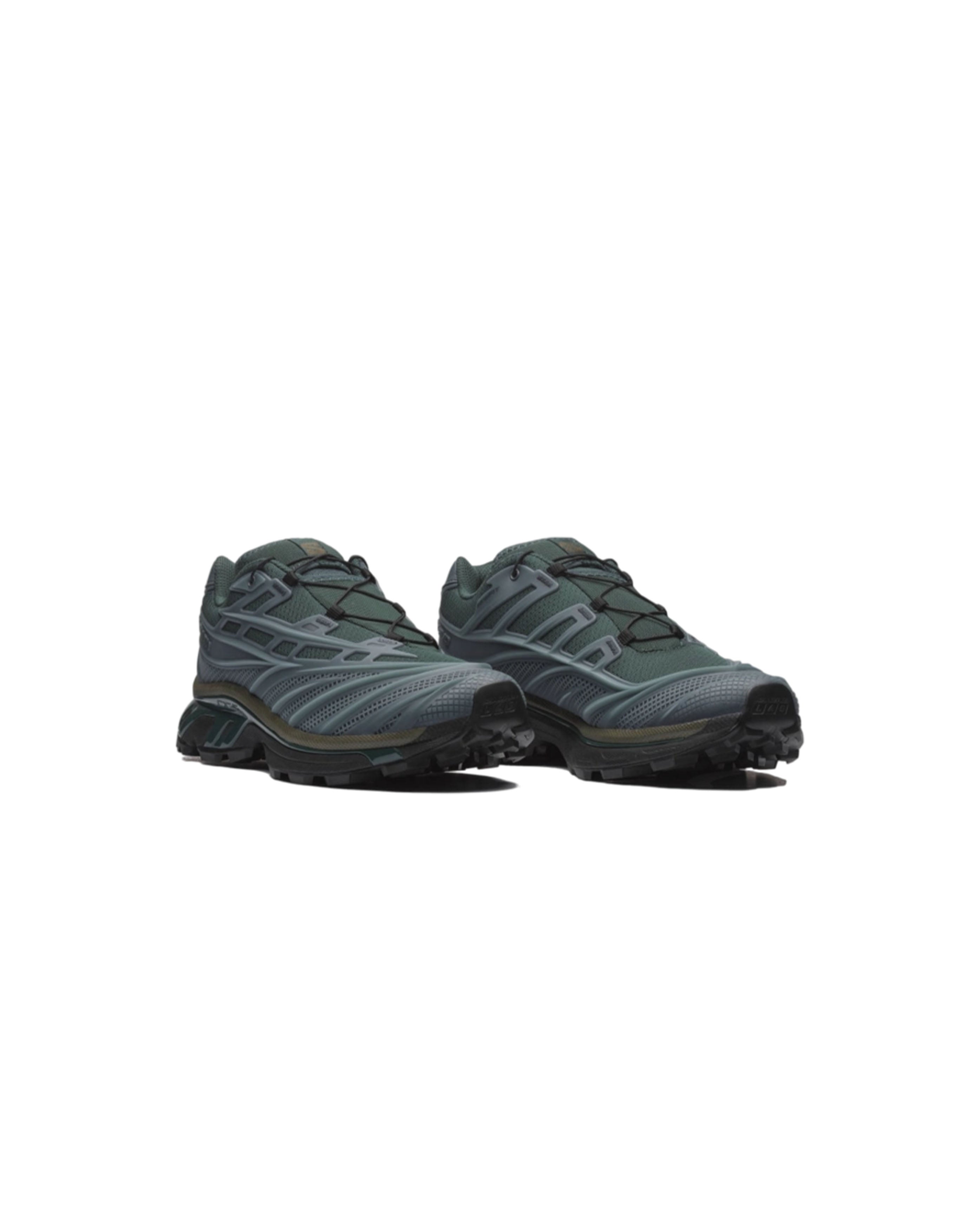 XT-EVO Storm Dark Grape Leaf - Starcowparis - 2
