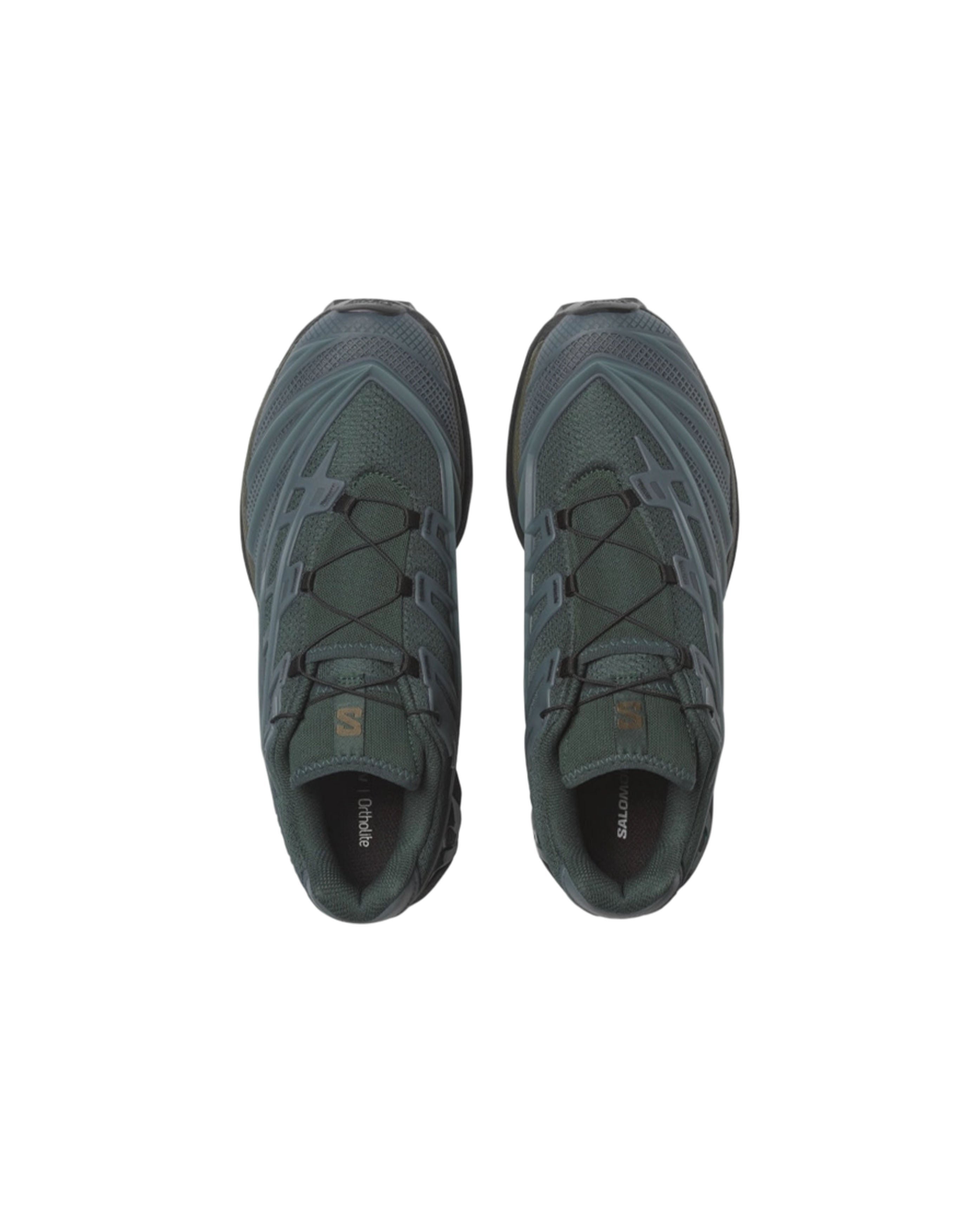 XT-EVO Storm Dark Grape Leaf - Starcowparis - 3