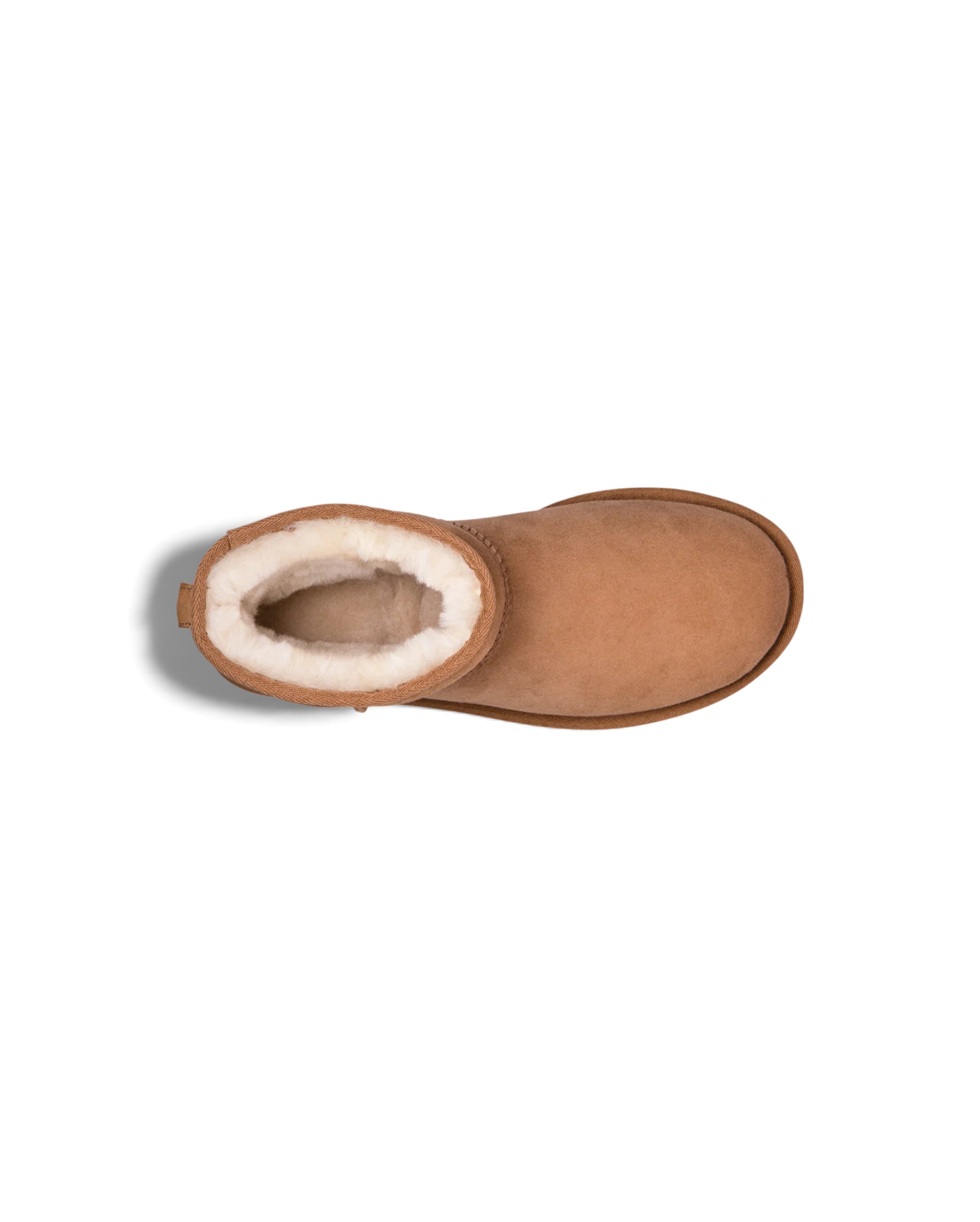 W Classic Mini II Chestnut - Starcowparis - 5