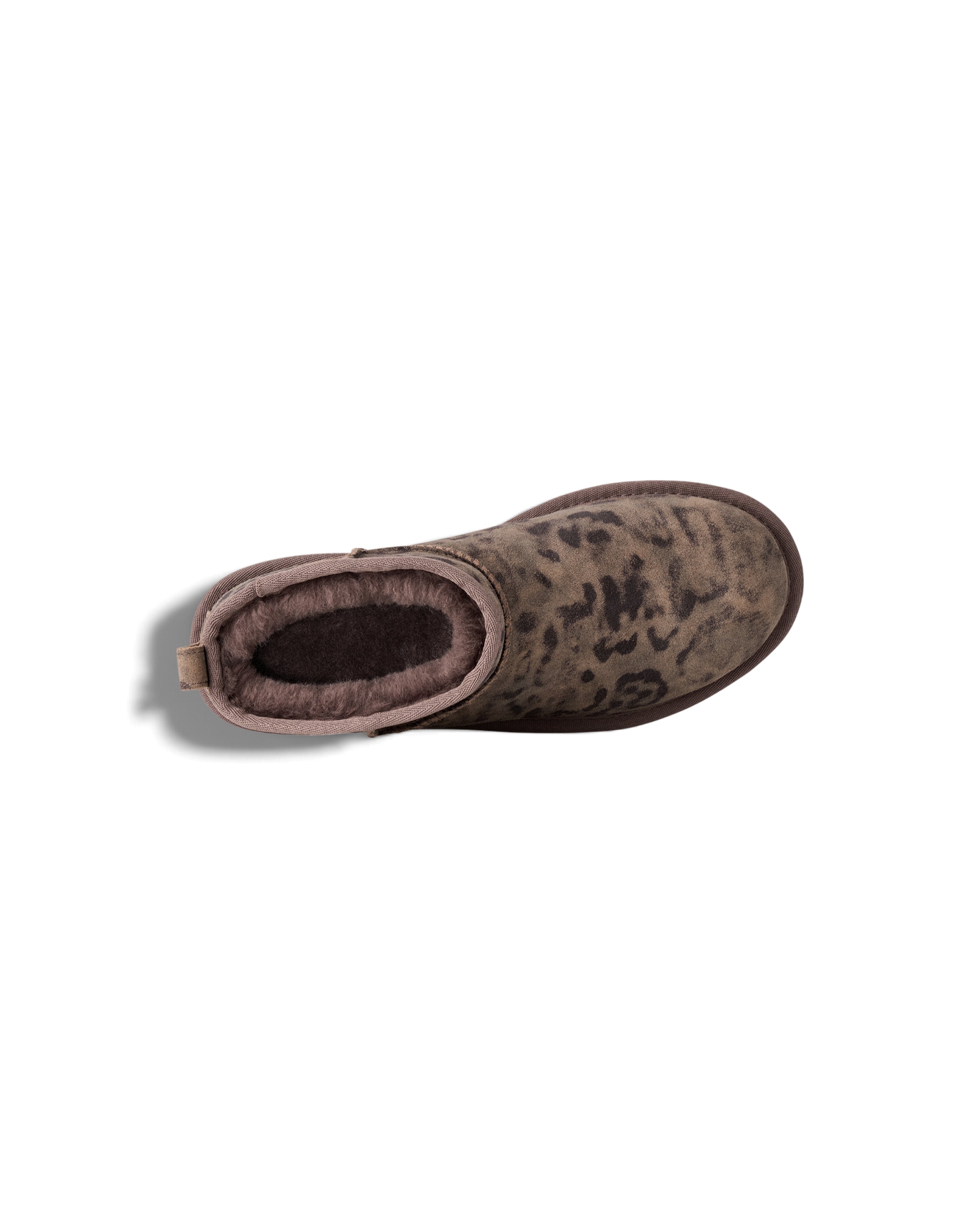W Classic Ultra Mini Spotted Chestnut - Starcowparis - 5