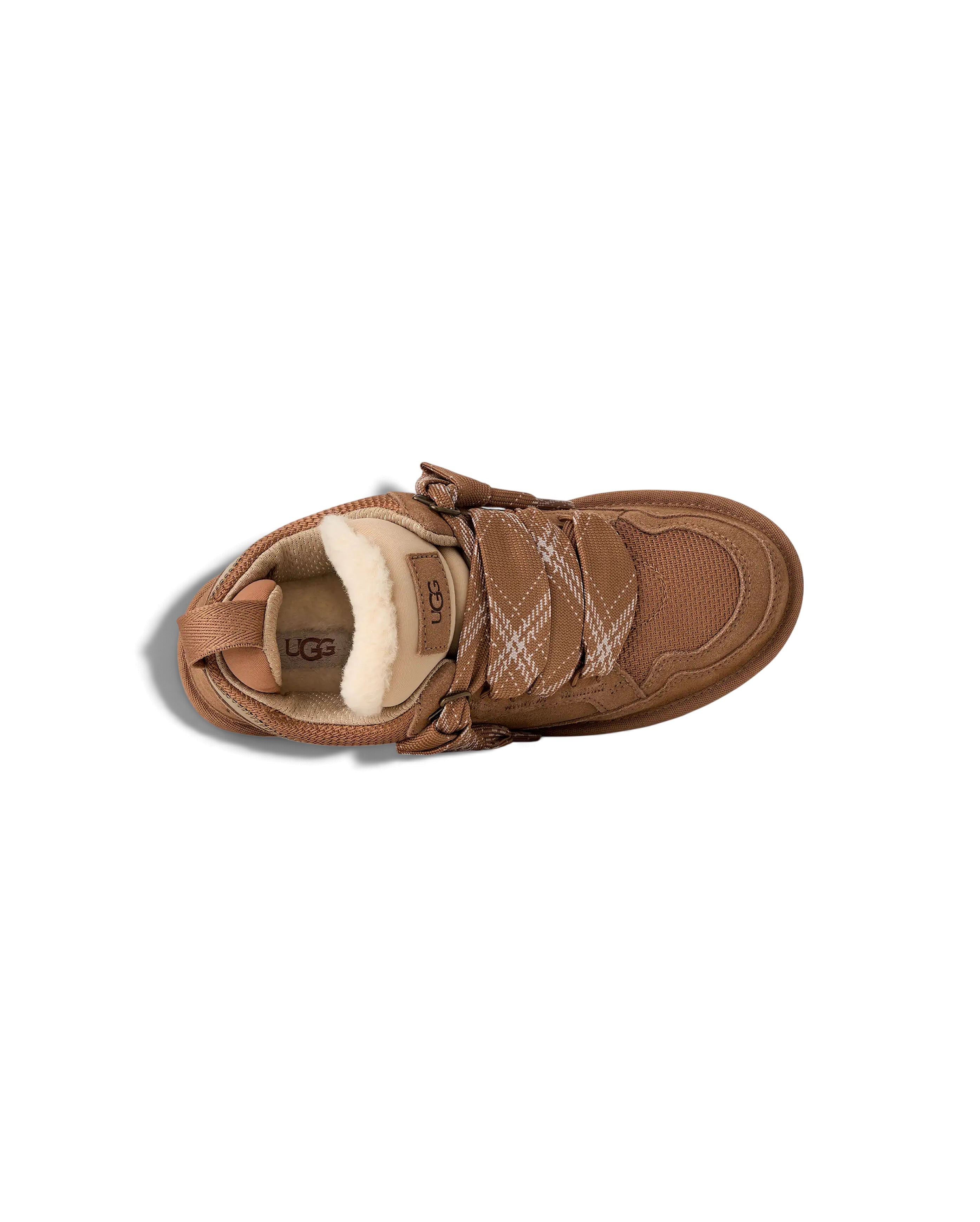 W Lowmel Chestnut - Starcowparis - 5