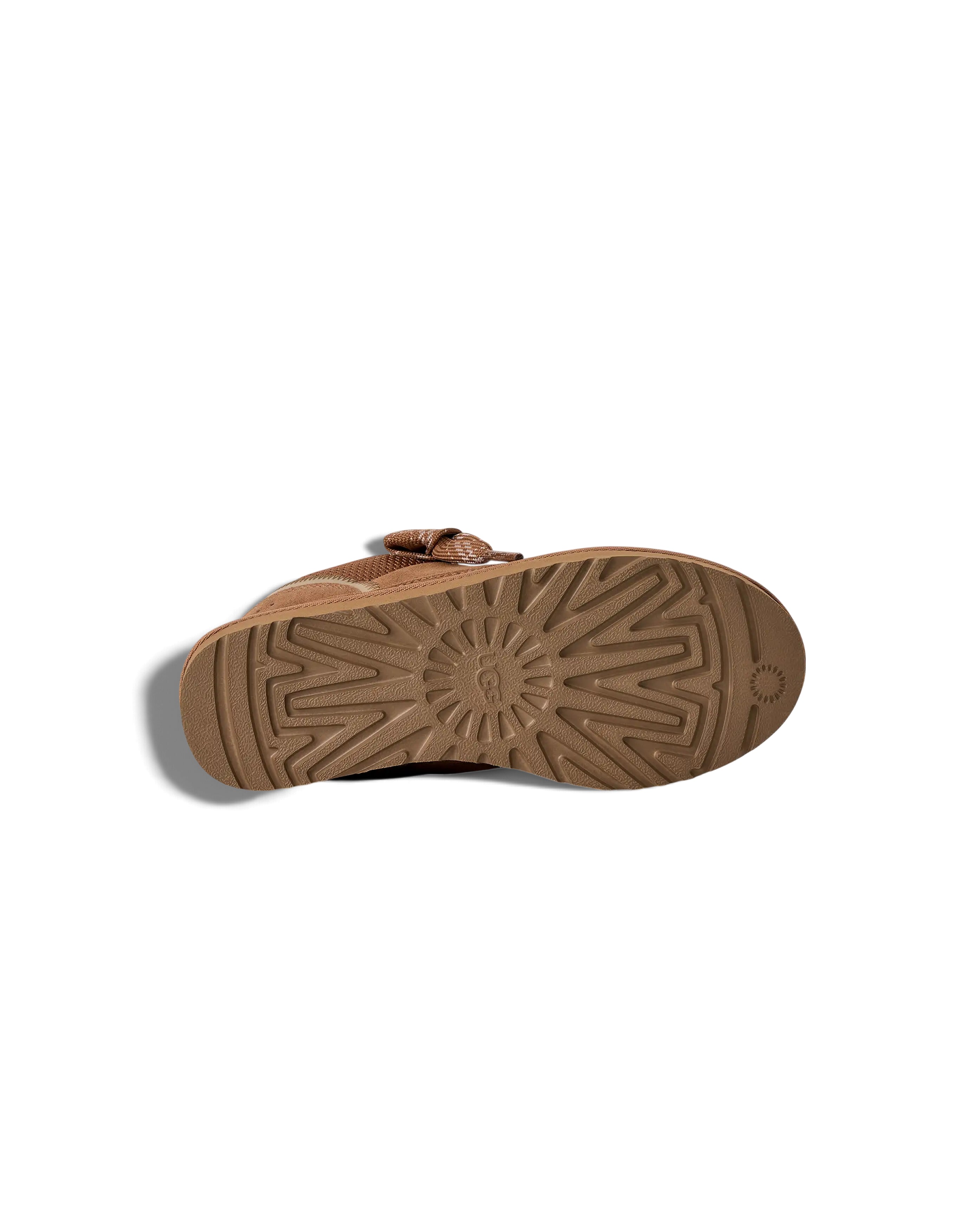 W Lowmel Chestnut - Starcowparis - 6