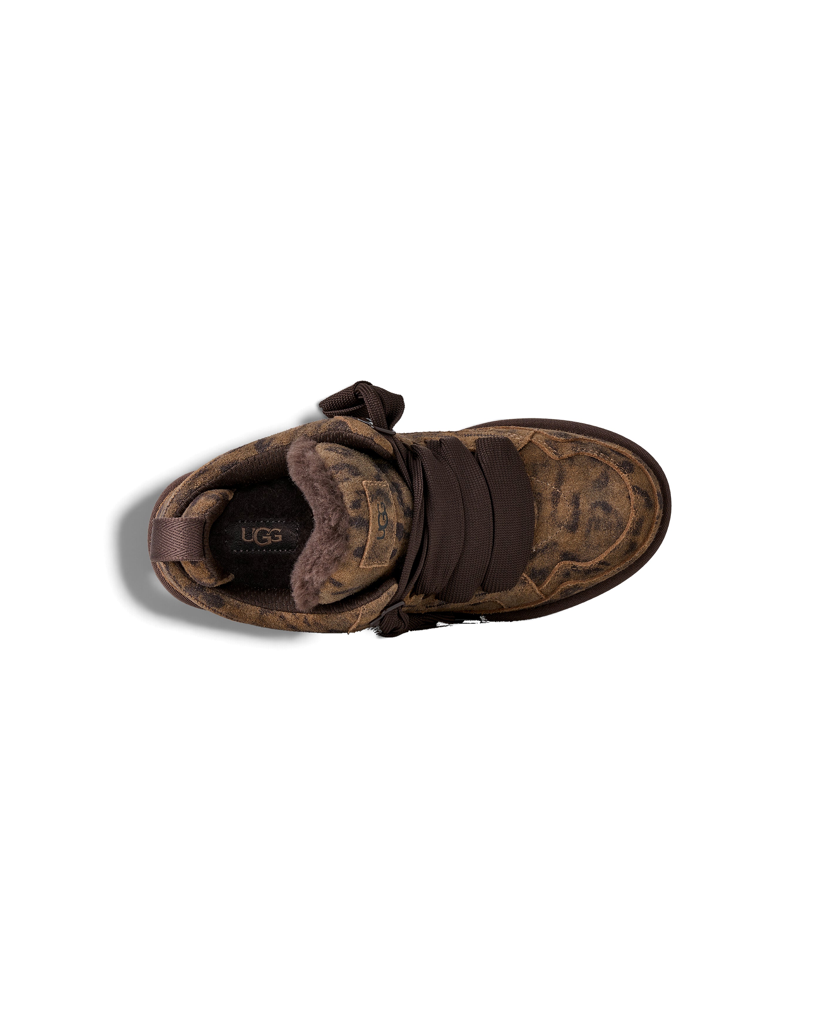 W Lowmel Spotted Chestnut - Starcowparis - 5