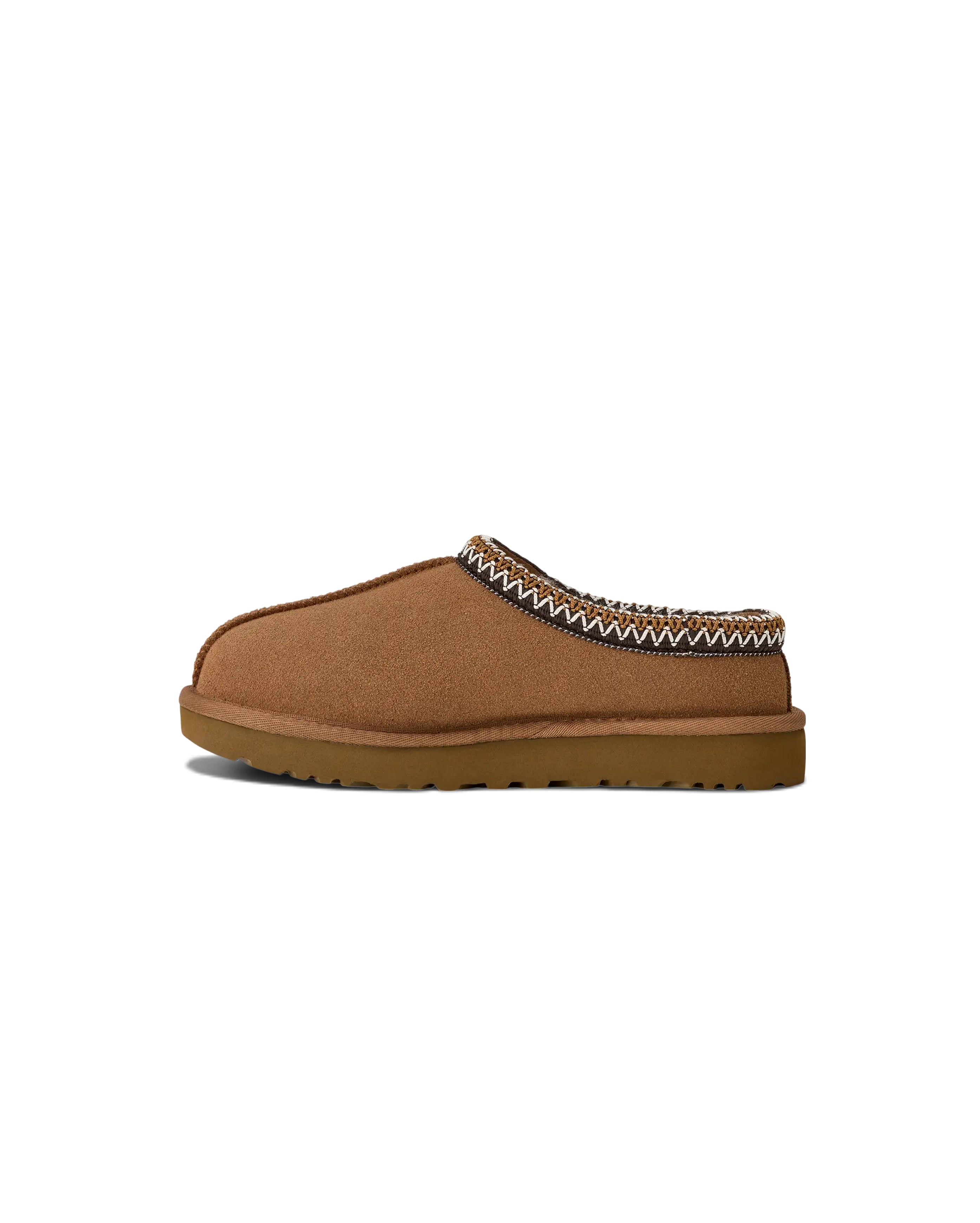 W Tasman II Chestnut - Starcowparis - 4