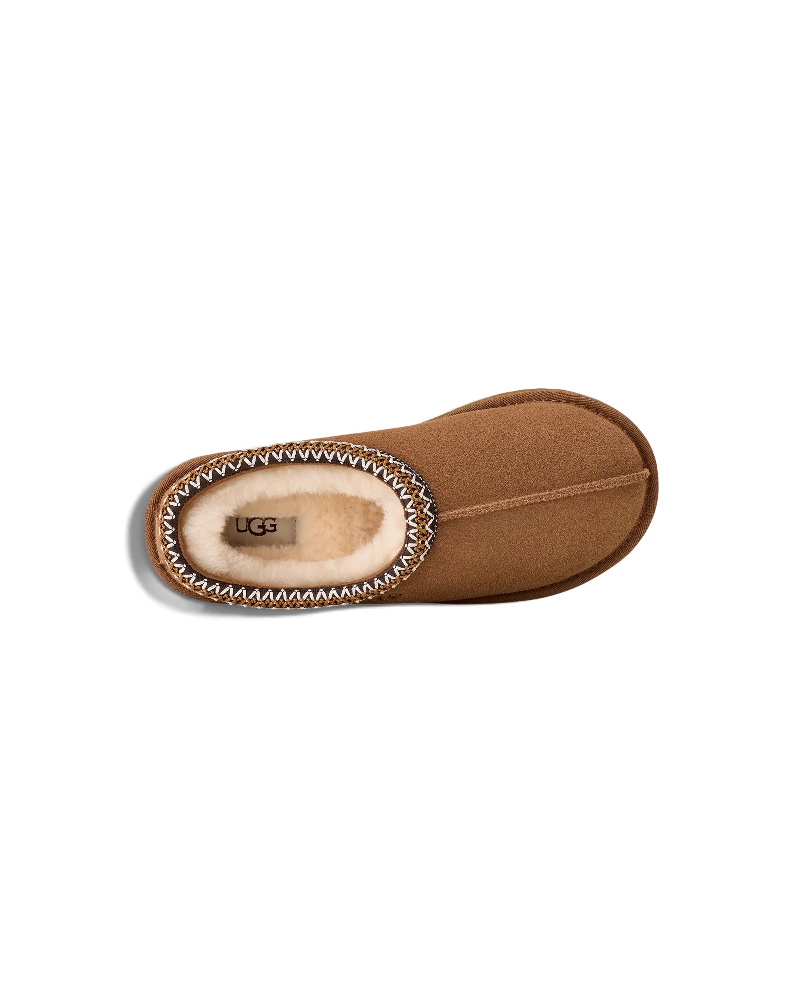 W Tasman II Chestnut - Starcowparis - 5