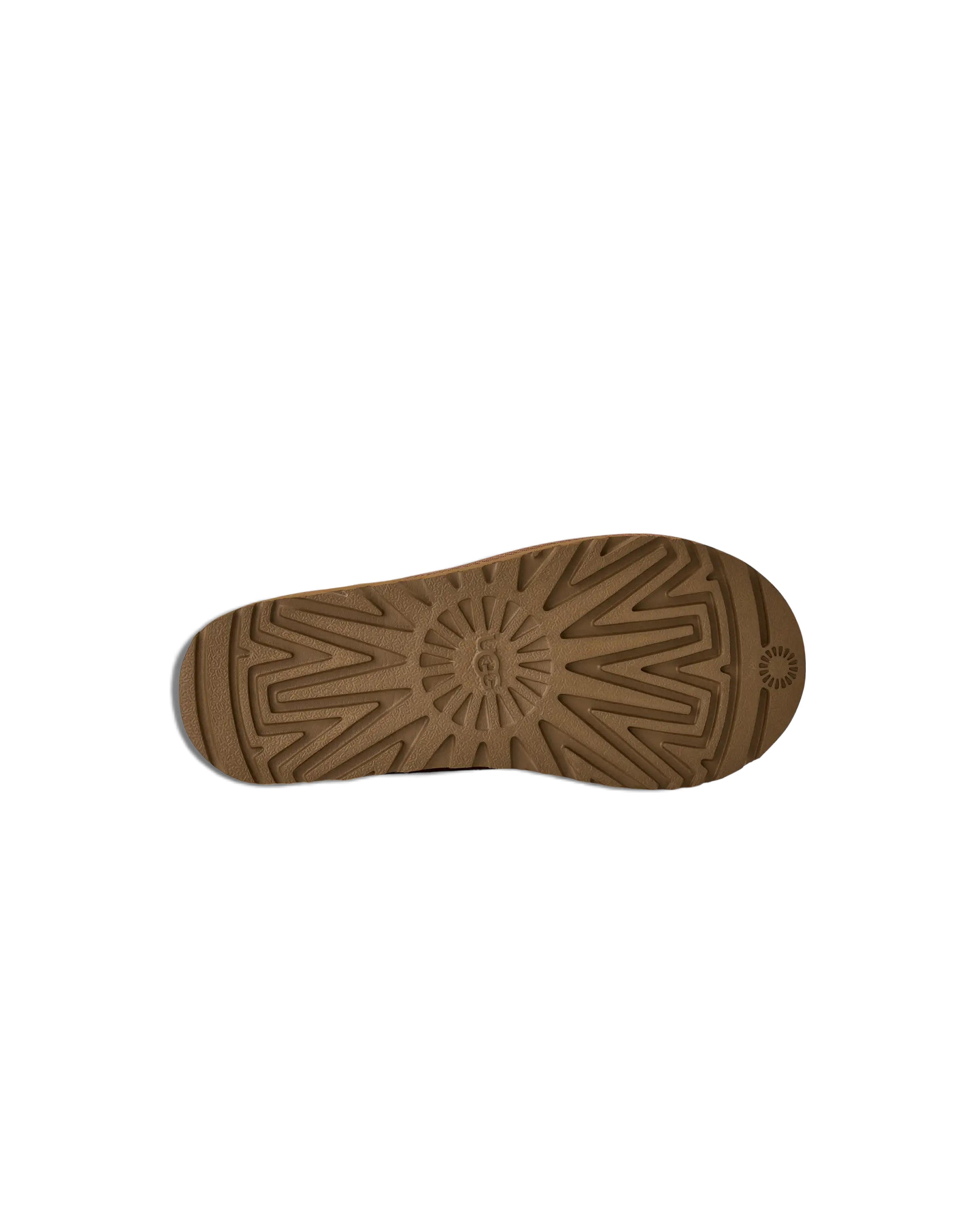 W Tasman II Chestnut - Starcowparis - 6