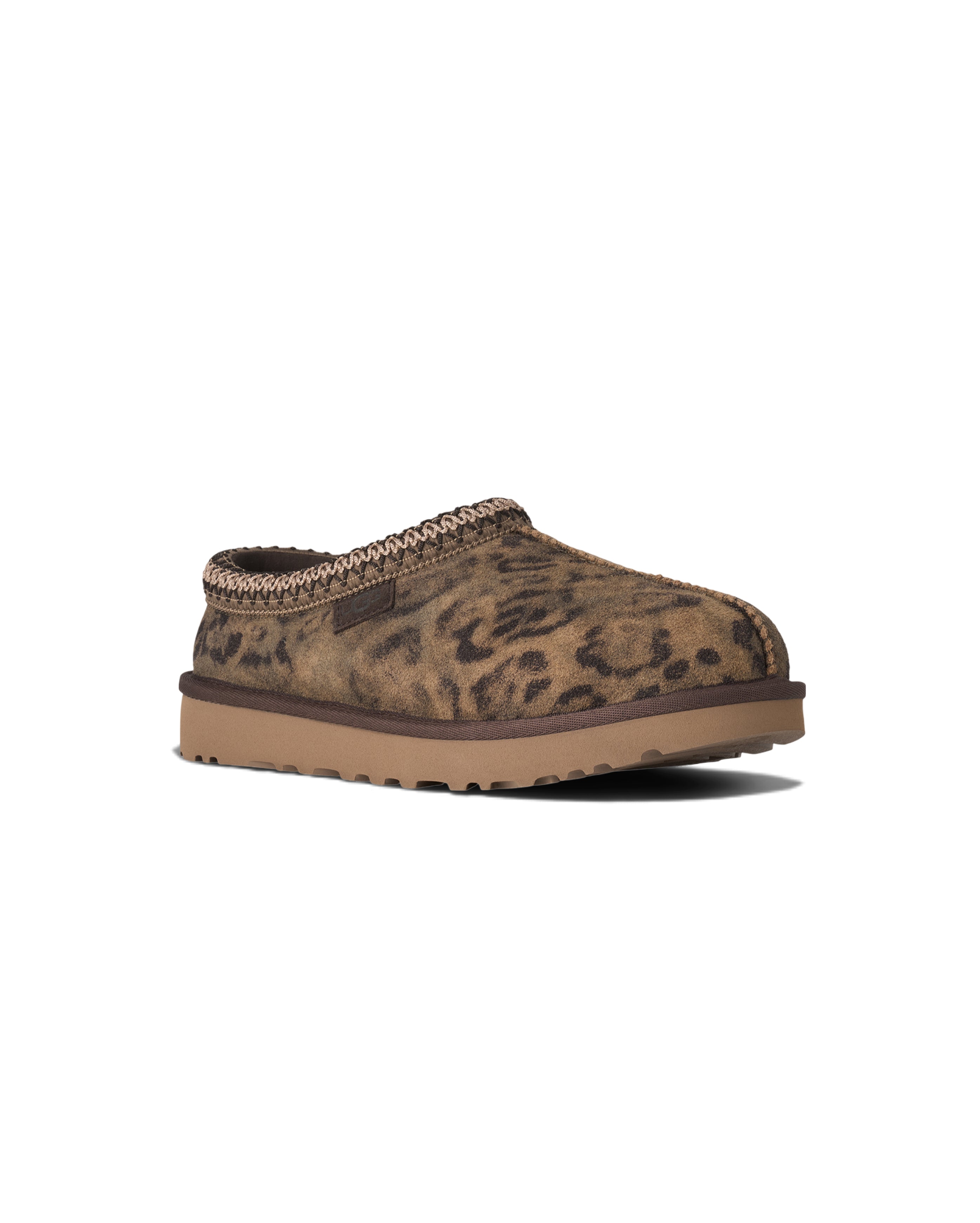 W Tasman Spotted Chestnut - Starcowparis - 3