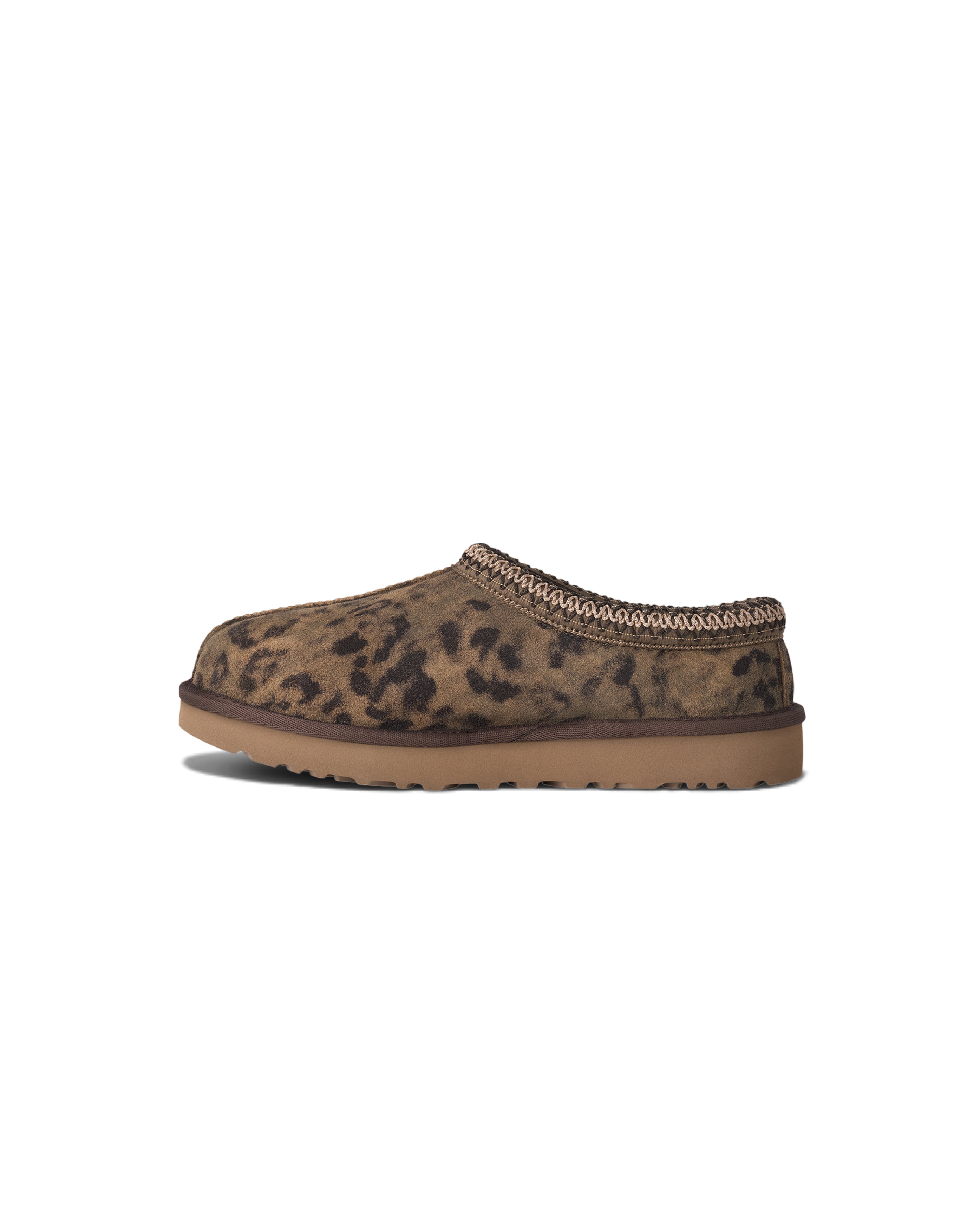 W Tasman Spotted Chestnut - Starcowparis - 4