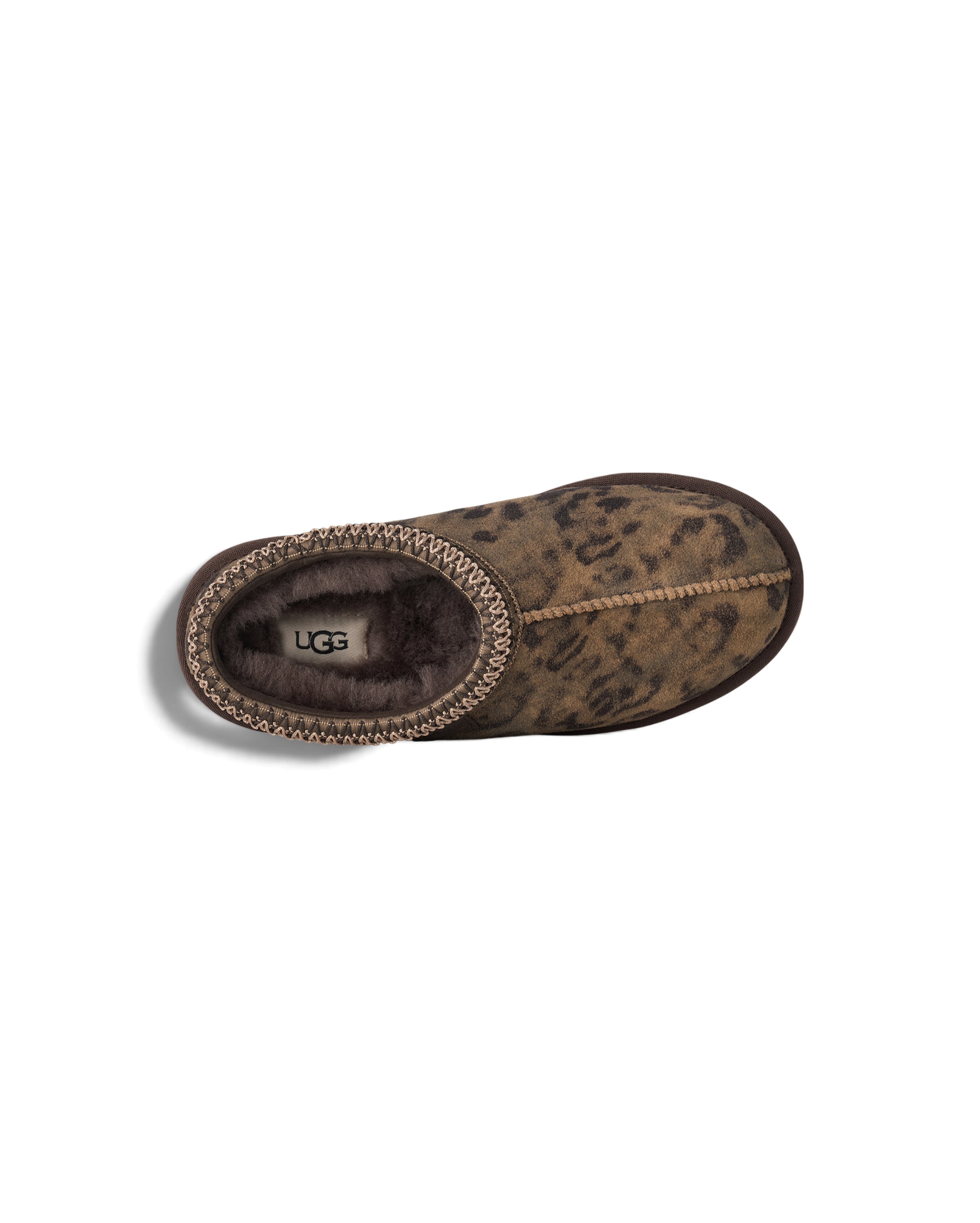 W Tasman Spotted Chestnut - Starcowparis - 5