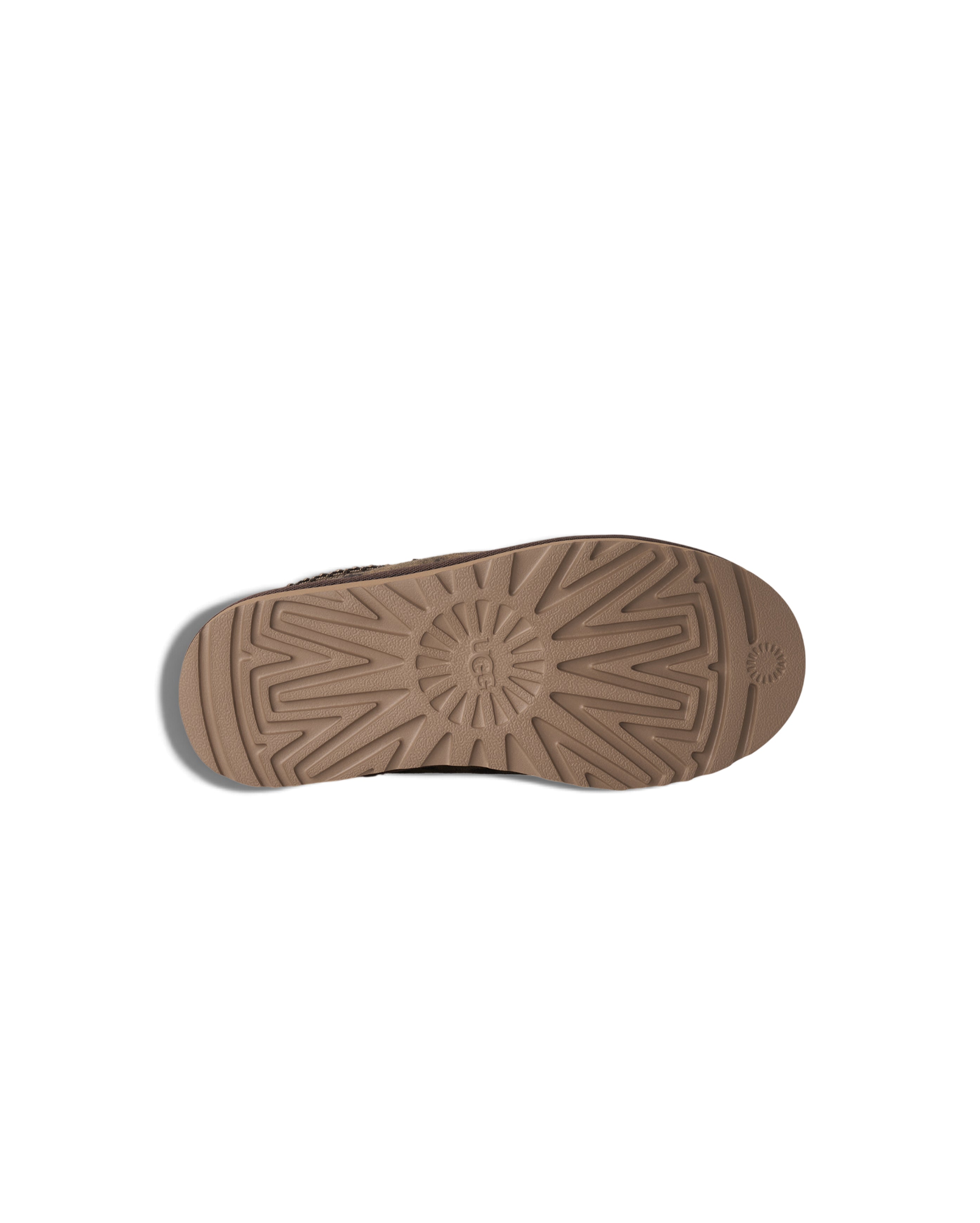 W Tasman Spotted Chestnut - Starcowparis - 6