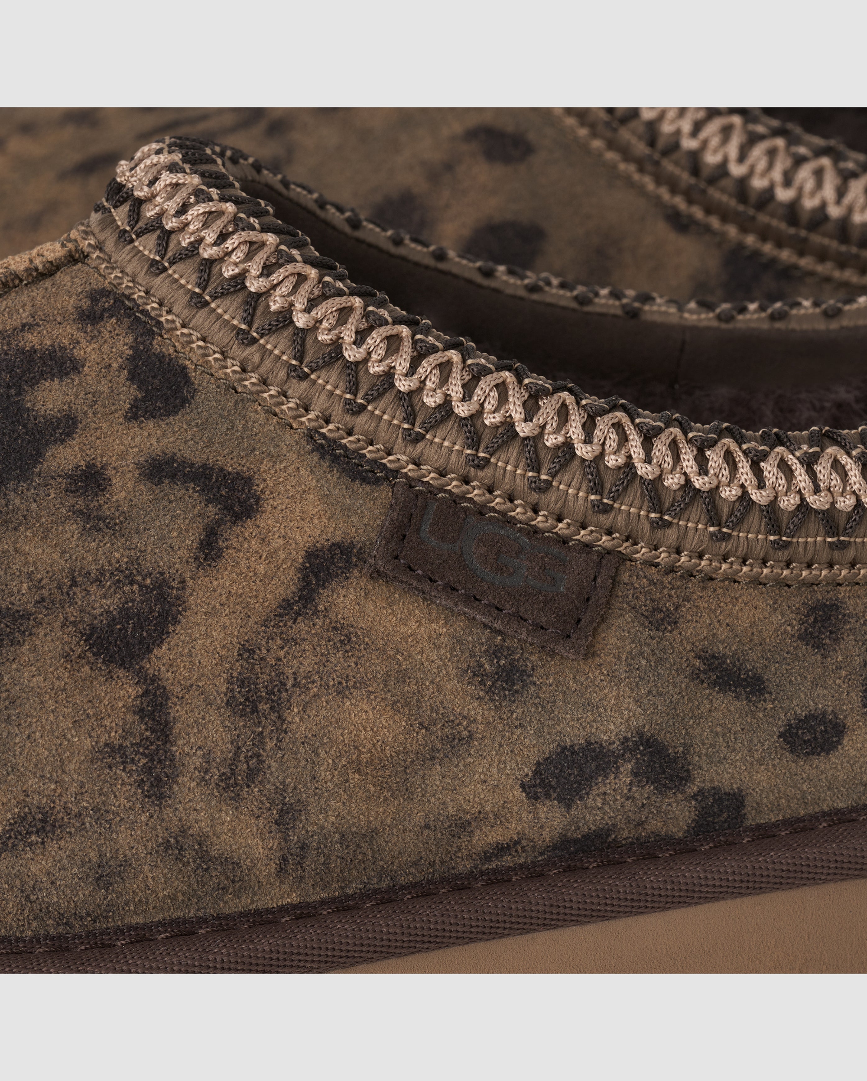 W Tasman Spotted Chestnut - Starcowparis - 7